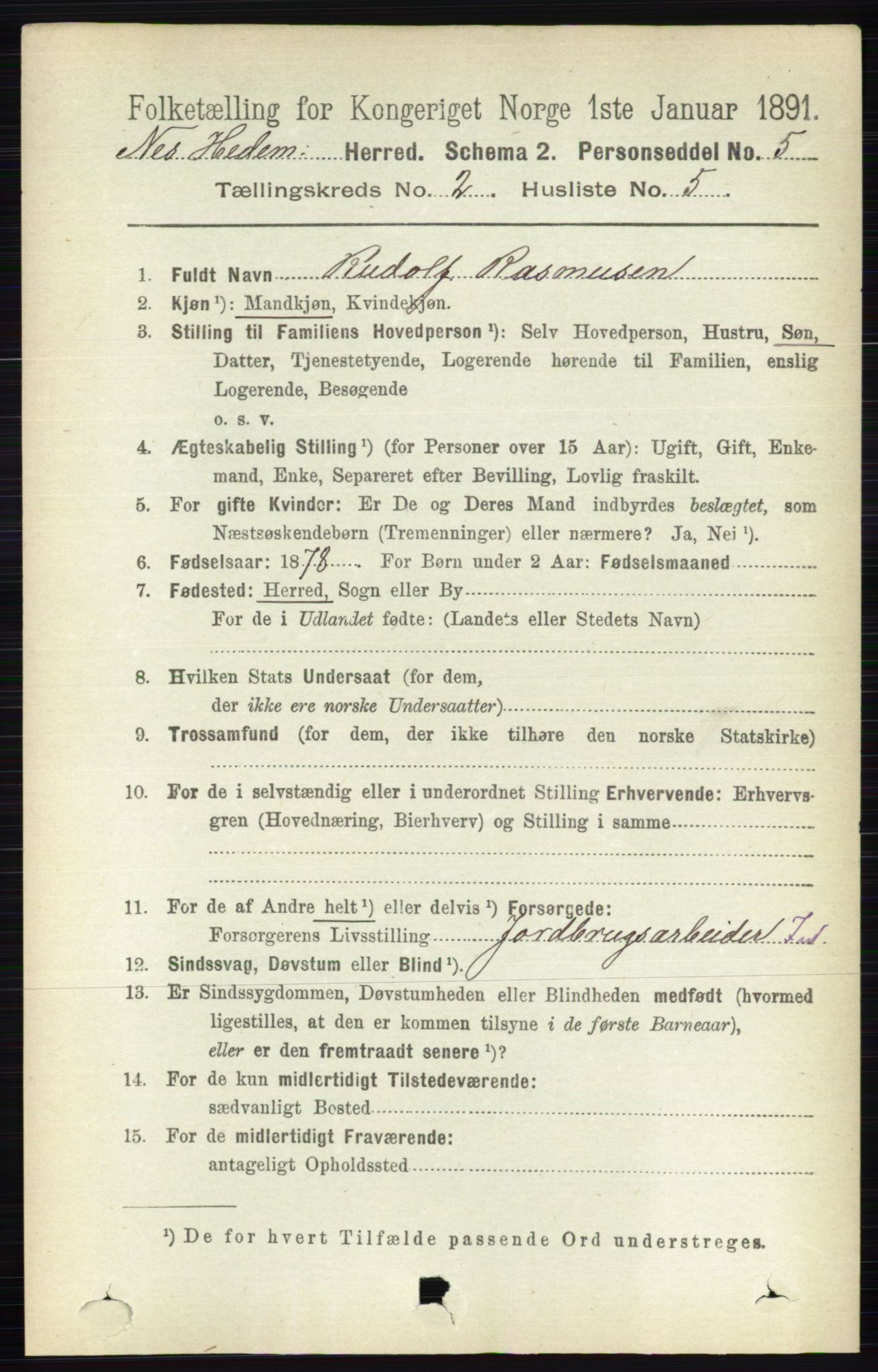 RA, 1891 census for 0411 Nes, 1891, p. 1105
