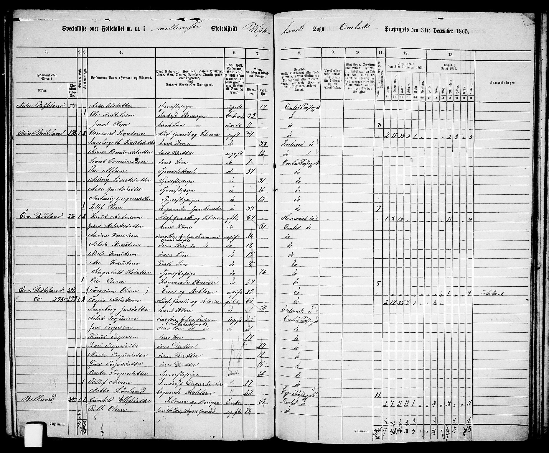 RA, 1865 census for Åmli, 1865, p. 83