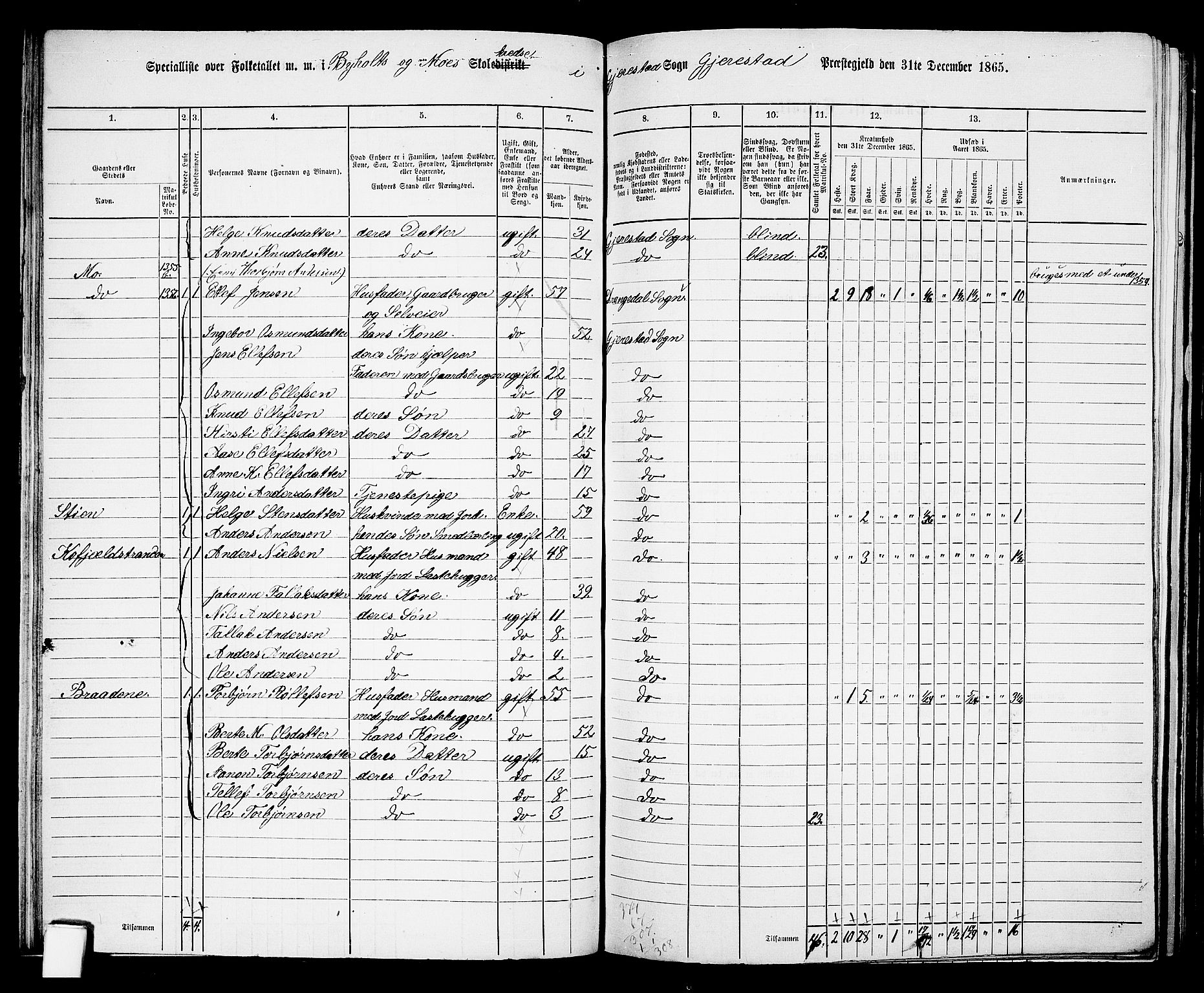 RA, 1865 census for Gjerstad, 1865, p. 43