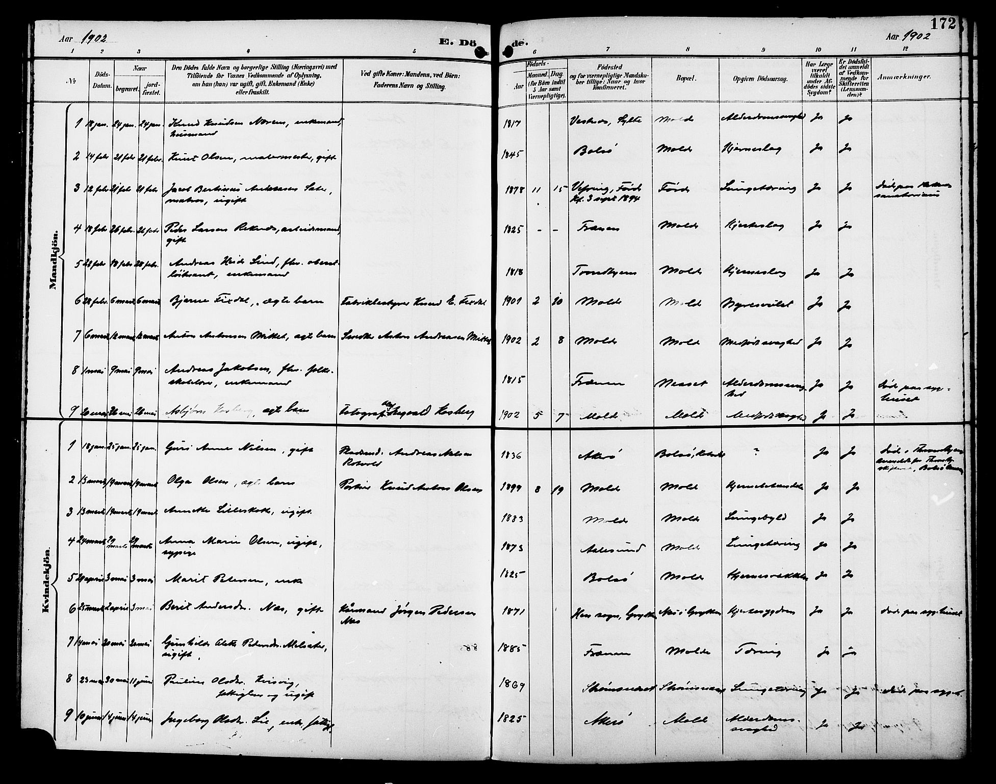 Ministerialprotokoller, klokkerbøker og fødselsregistre - Møre og Romsdal, SAT/A-1454/558/L0702: Parish register (copy) no. 558C03, 1894-1915, p. 172