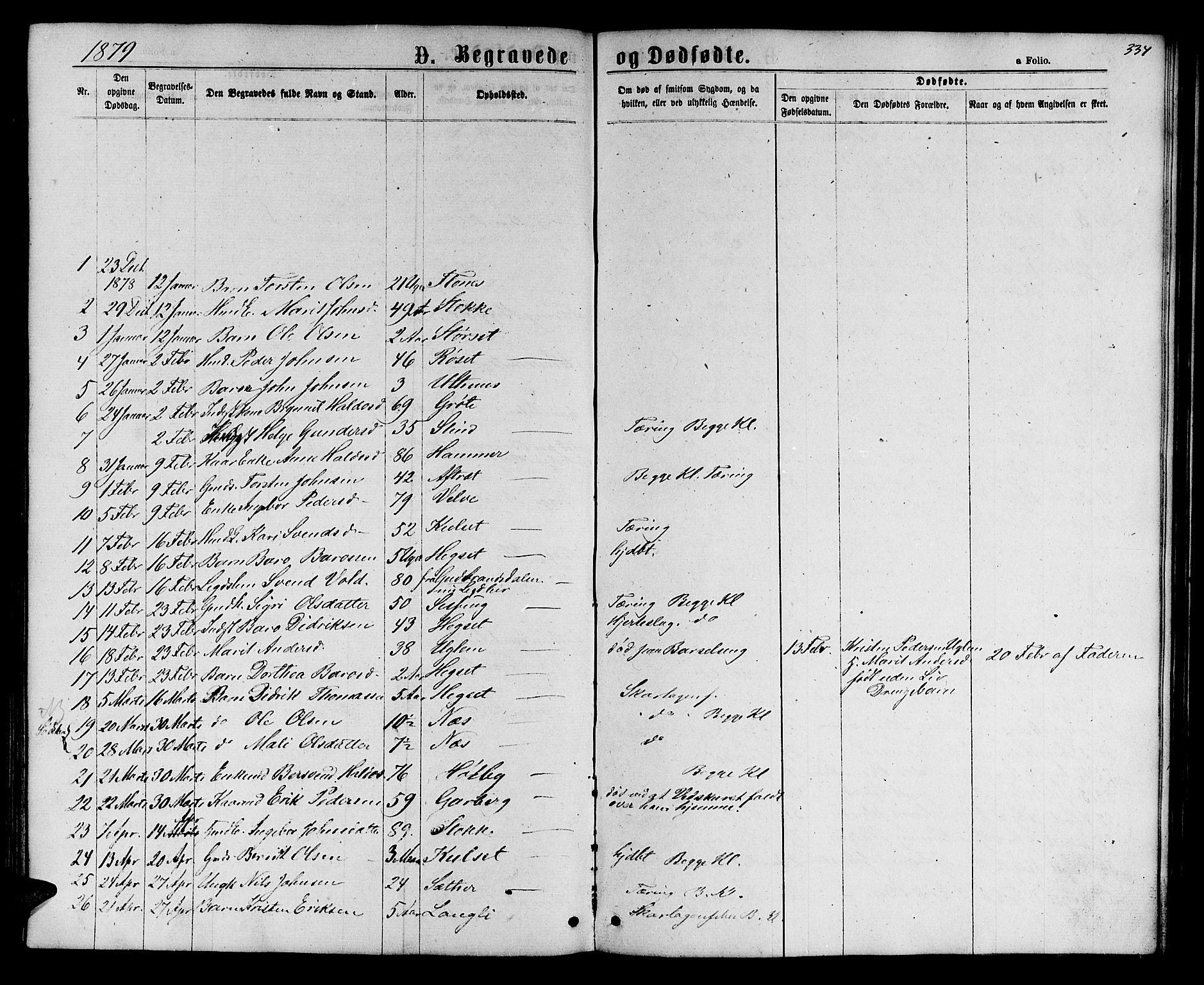 Ministerialprotokoller, klokkerbøker og fødselsregistre - Sør-Trøndelag, SAT/A-1456/695/L1156: Parish register (copy) no. 695C07, 1869-1888, p. 334