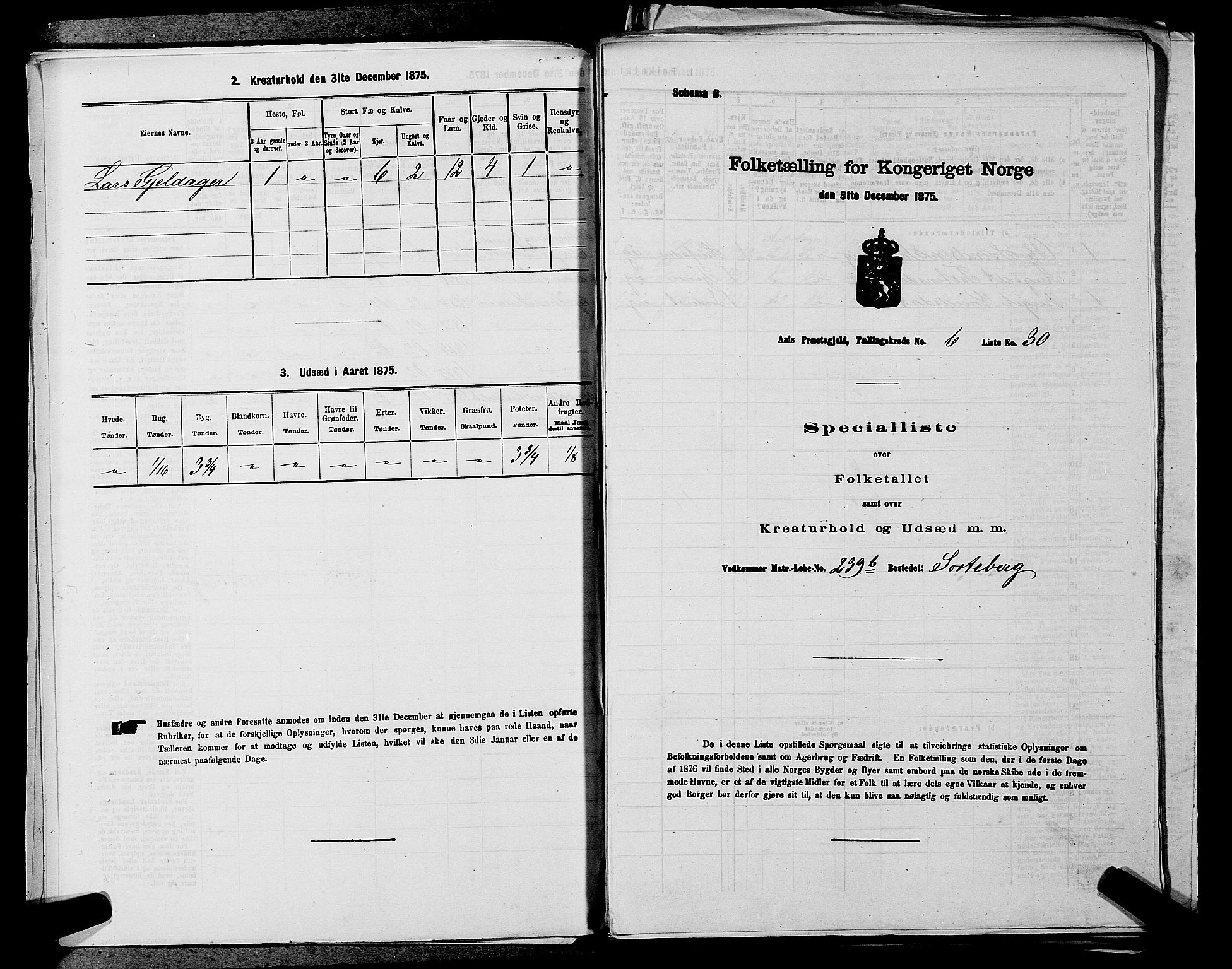 SAKO, 1875 census for 0619P Ål, 1875, p. 800