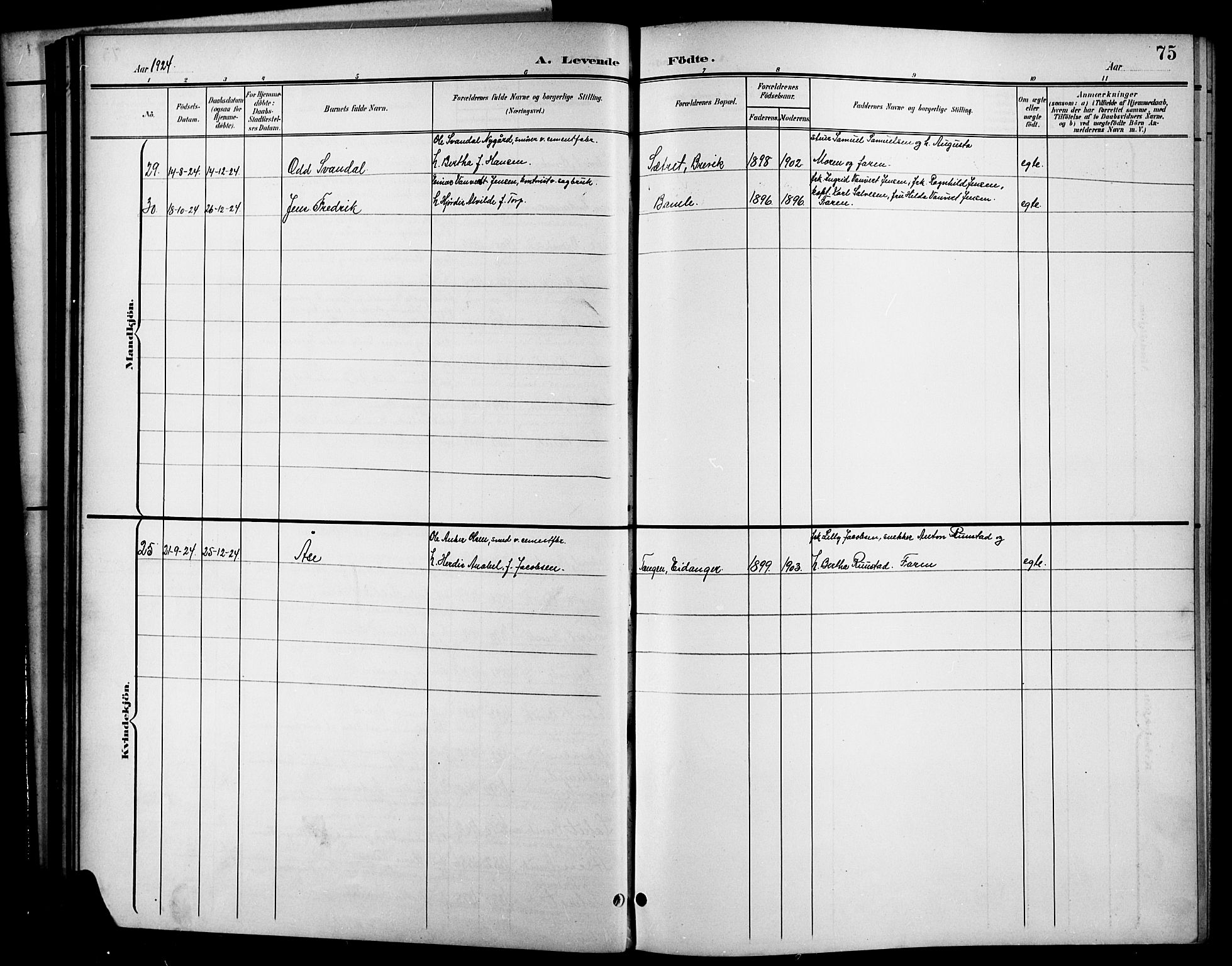 Brevik kirkebøker, AV/SAKO-A-255/G/Ga/L0005: Parish register (copy) no. 5, 1901-1924, p. 75