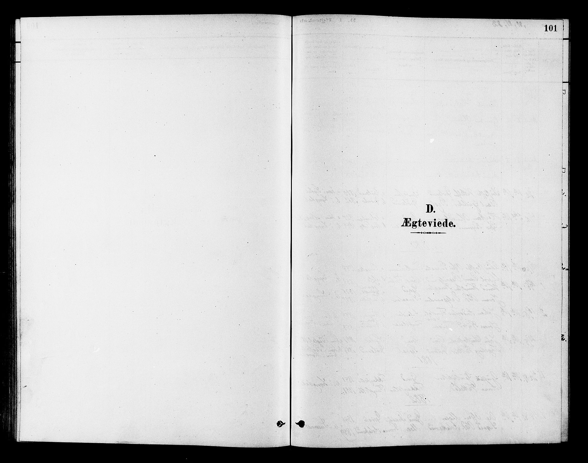 Flesberg kirkebøker, SAKO/A-18/F/Fc/L0001: Parish register (official) no. III 1, 1879-1905, p. 101