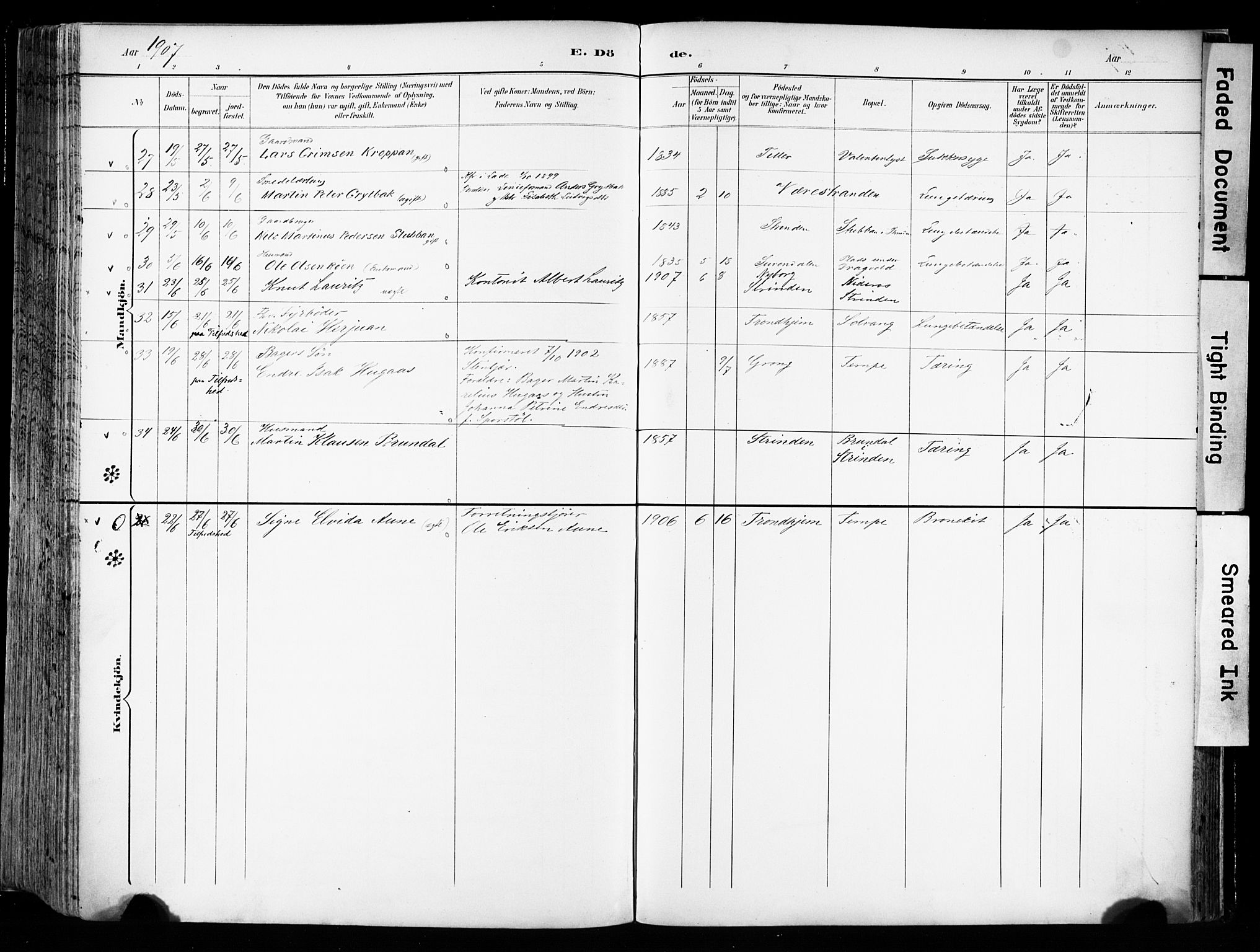 Ministerialprotokoller, klokkerbøker og fødselsregistre - Sør-Trøndelag, AV/SAT-A-1456/606/L0301: Parish register (official) no. 606A16, 1894-1907