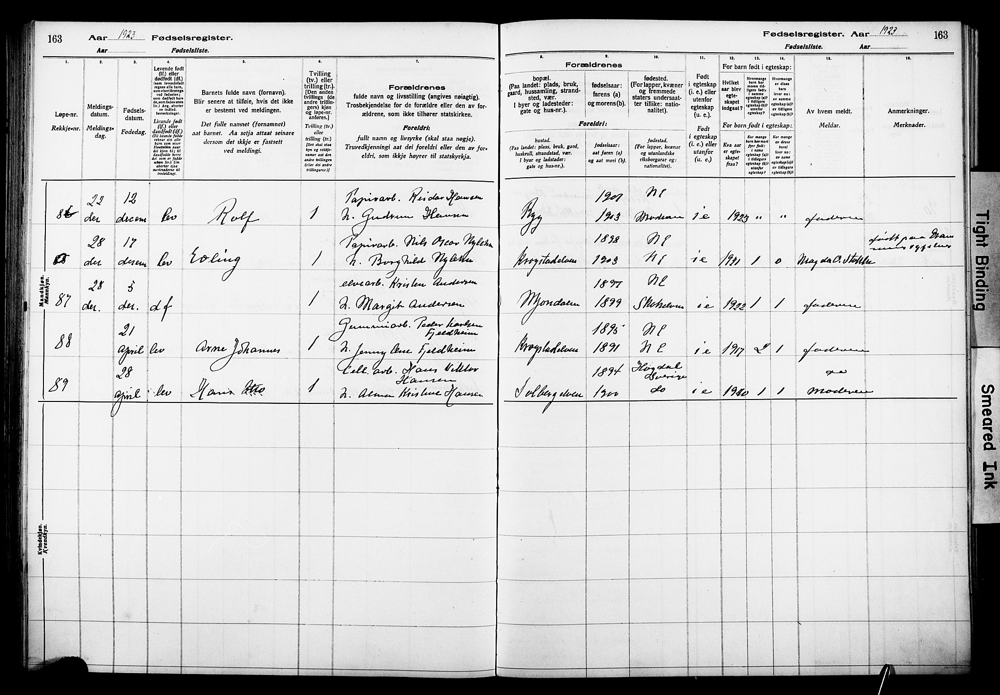 Nedre Eiker kirkebøker, AV/SAKO-A-612/J/Ja/L0001: Birth register no. 1, 1916-1925, p. 163