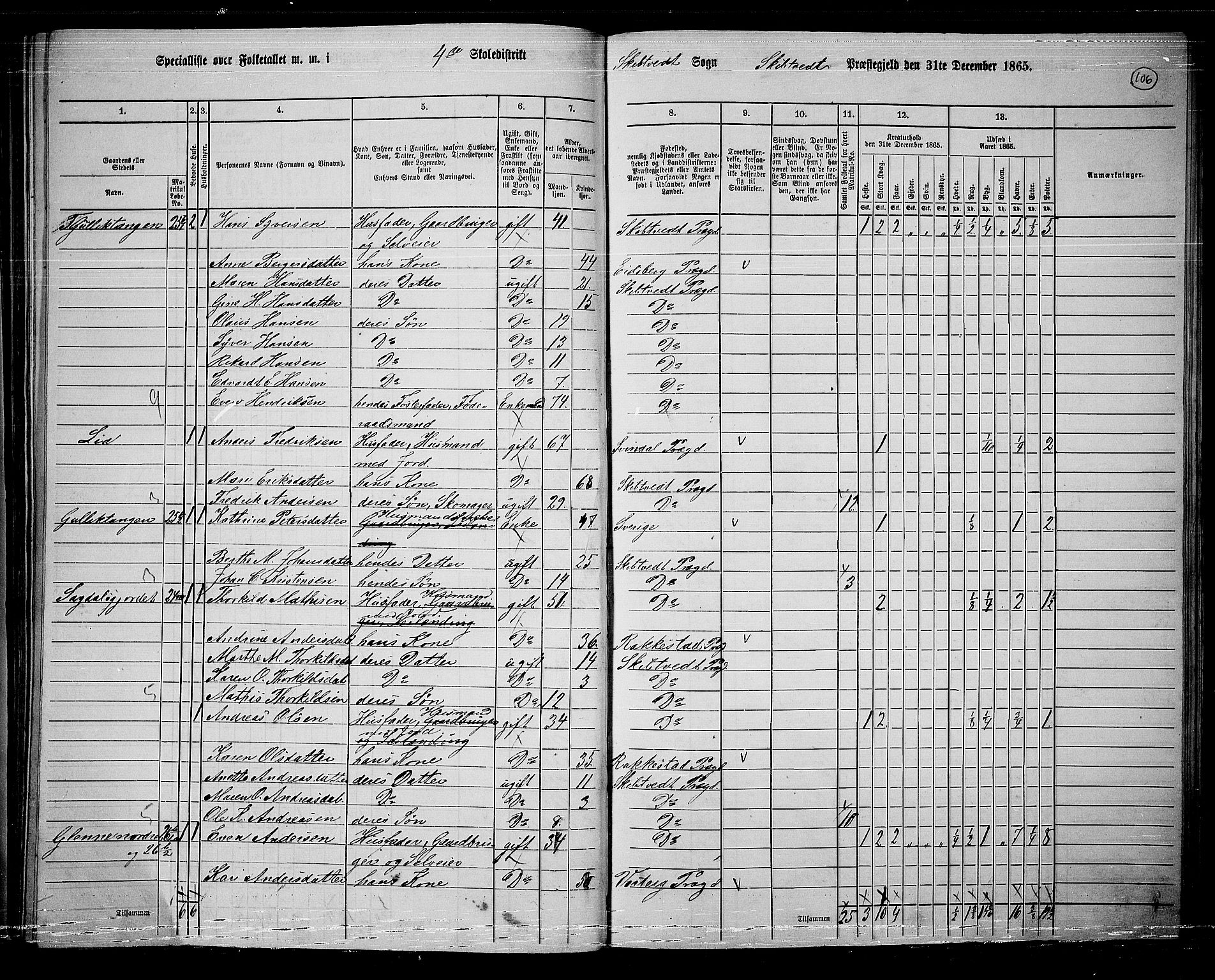 RA, 1865 census for Skiptvet, 1865, p. 96