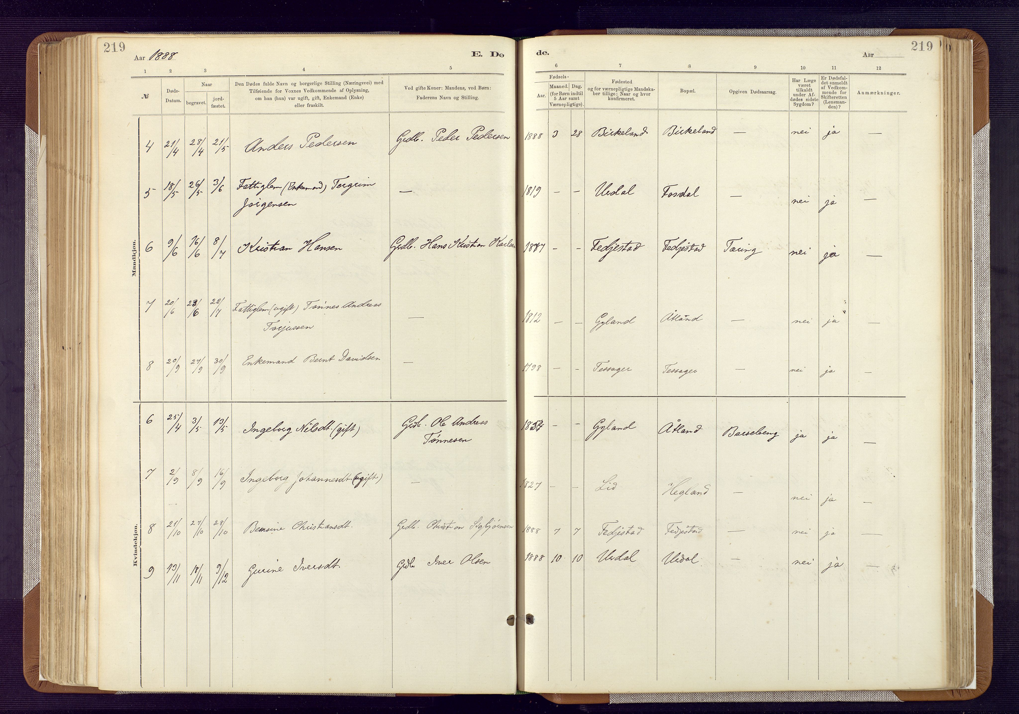 Bakke sokneprestkontor, AV/SAK-1111-0002/F/Fa/Fab/L0003: Parish register (official) no. A 3, 1884-1921, p. 219