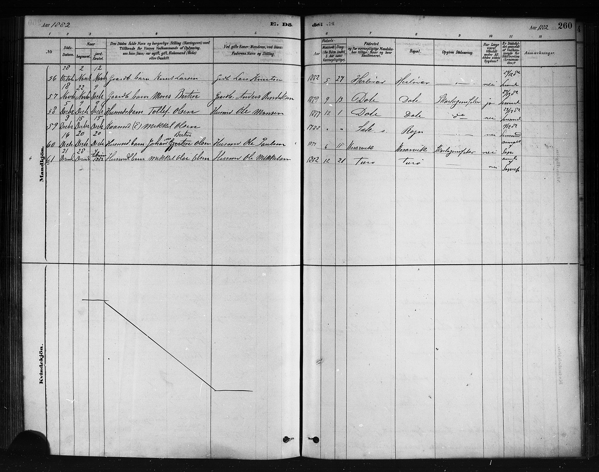 Herdla Sokneprestembete, AV/SAB-A-75701/H/Haa: Parish register (official) no. A 3, 1878-1890, p. 260