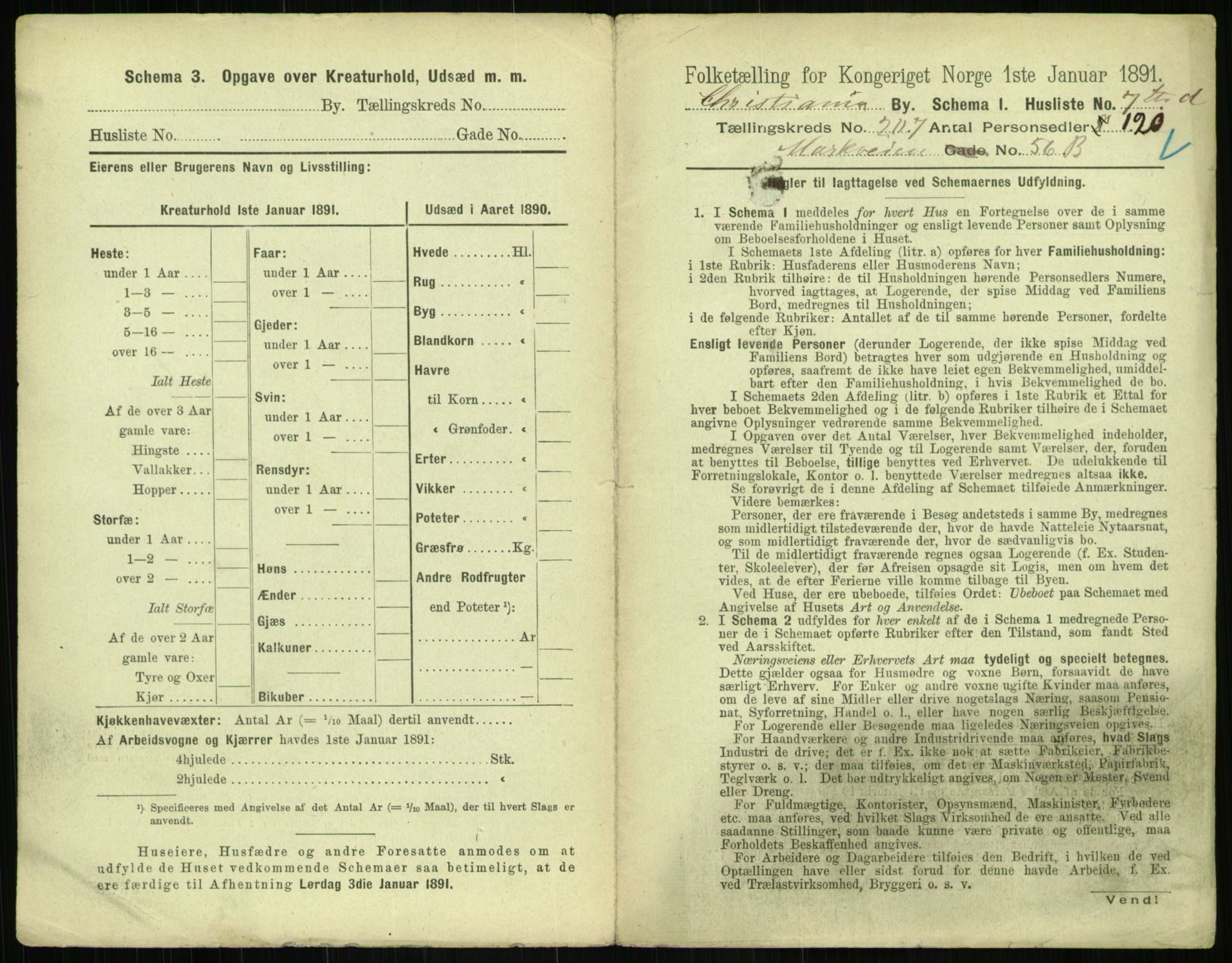 RA, 1891 census for 0301 Kristiania, 1891, p. 124266