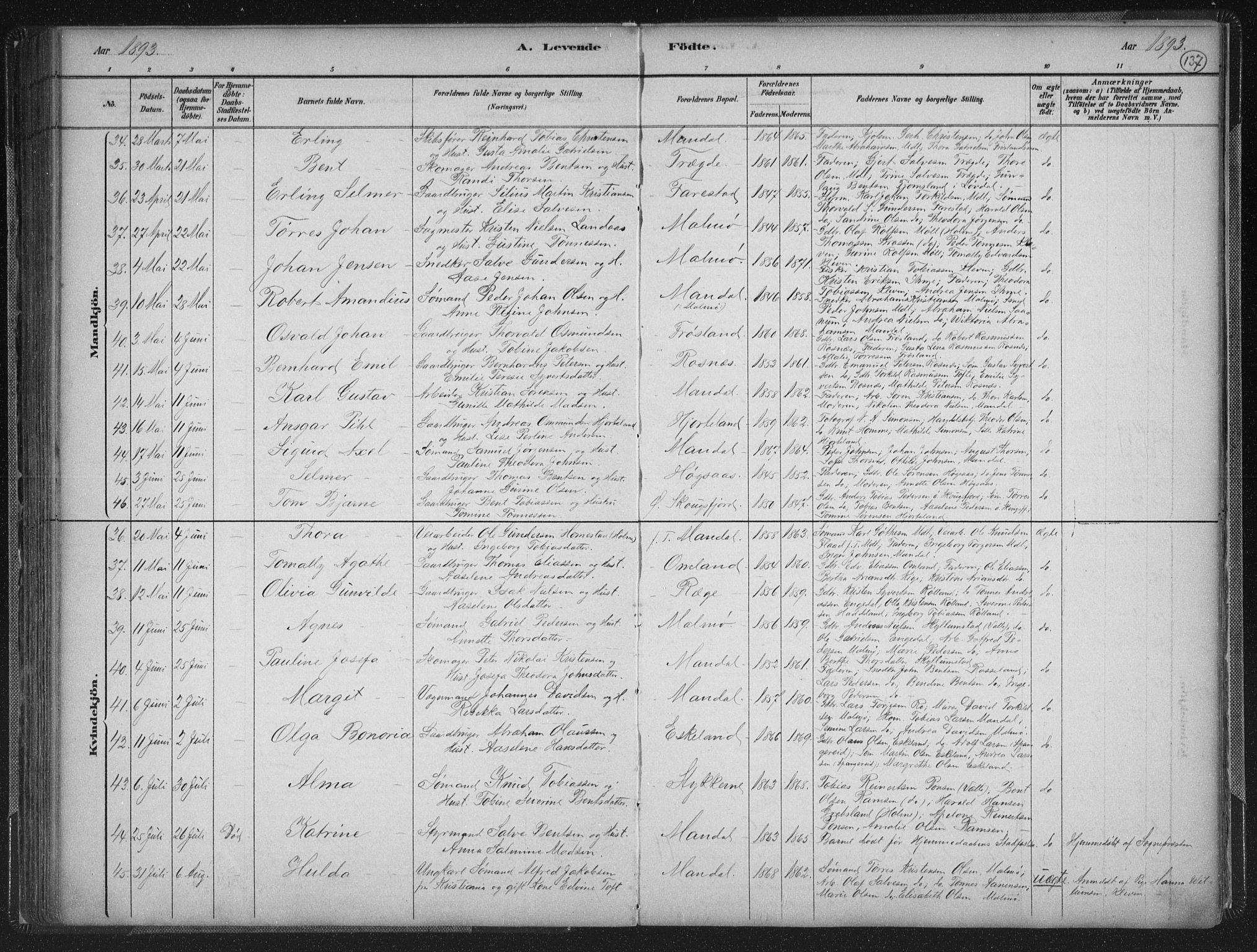 Mandal sokneprestkontor, AV/SAK-1111-0030/F/Fb/Fba/L0011: Parish register (copy) no. B 5, 1880-1898, p. 137