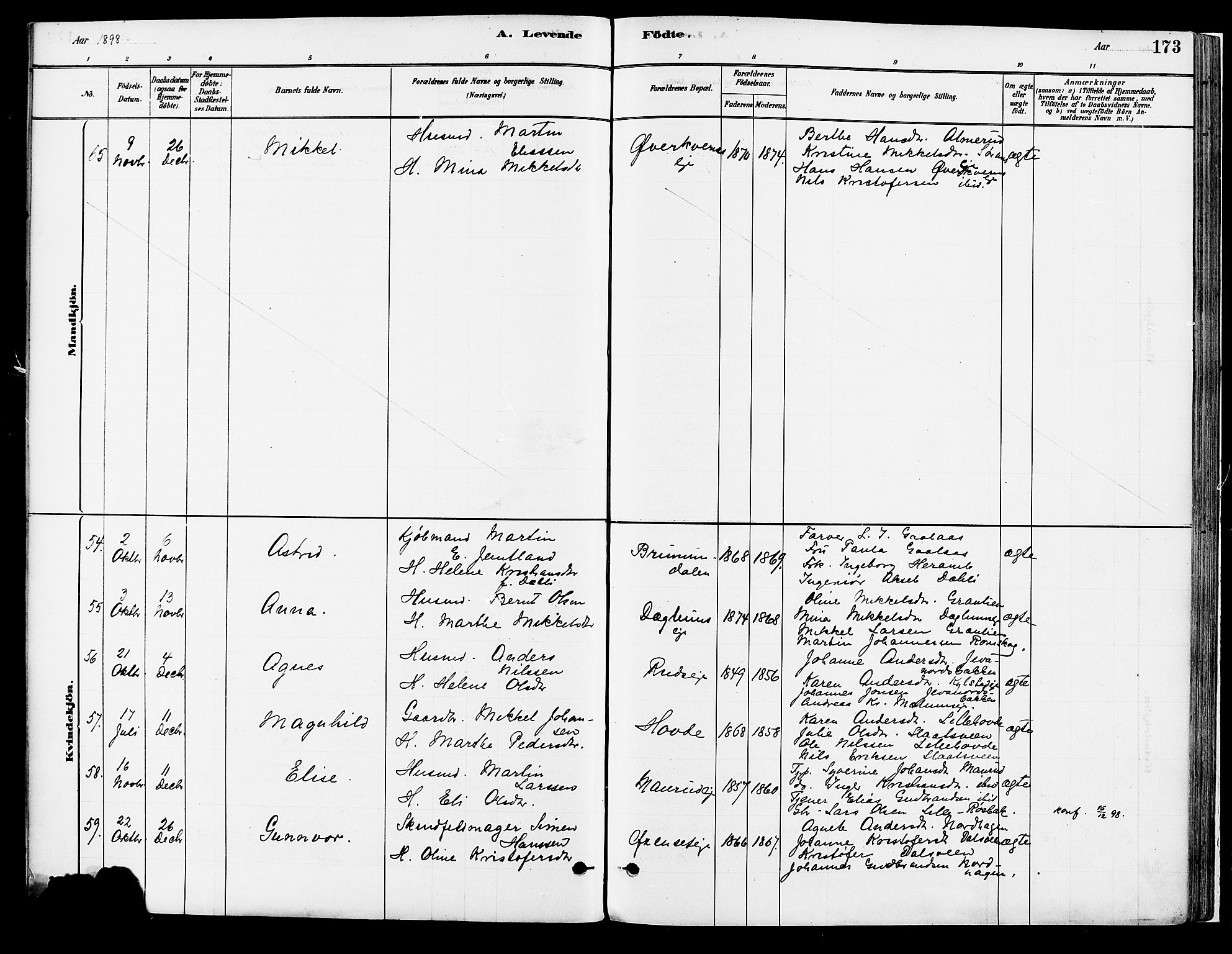 Vang prestekontor, Hedmark, AV/SAH-PREST-008/H/Ha/Haa/L0018A: Parish register (official) no. 18A, 1880-1906, p. 173