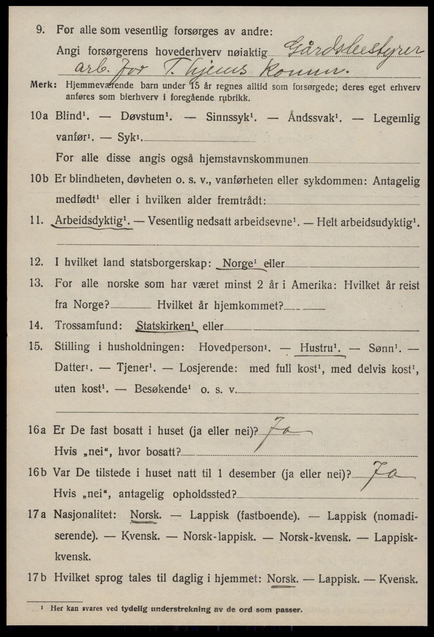 SAT, 1920 census for Strinda, 1920, p. 2919