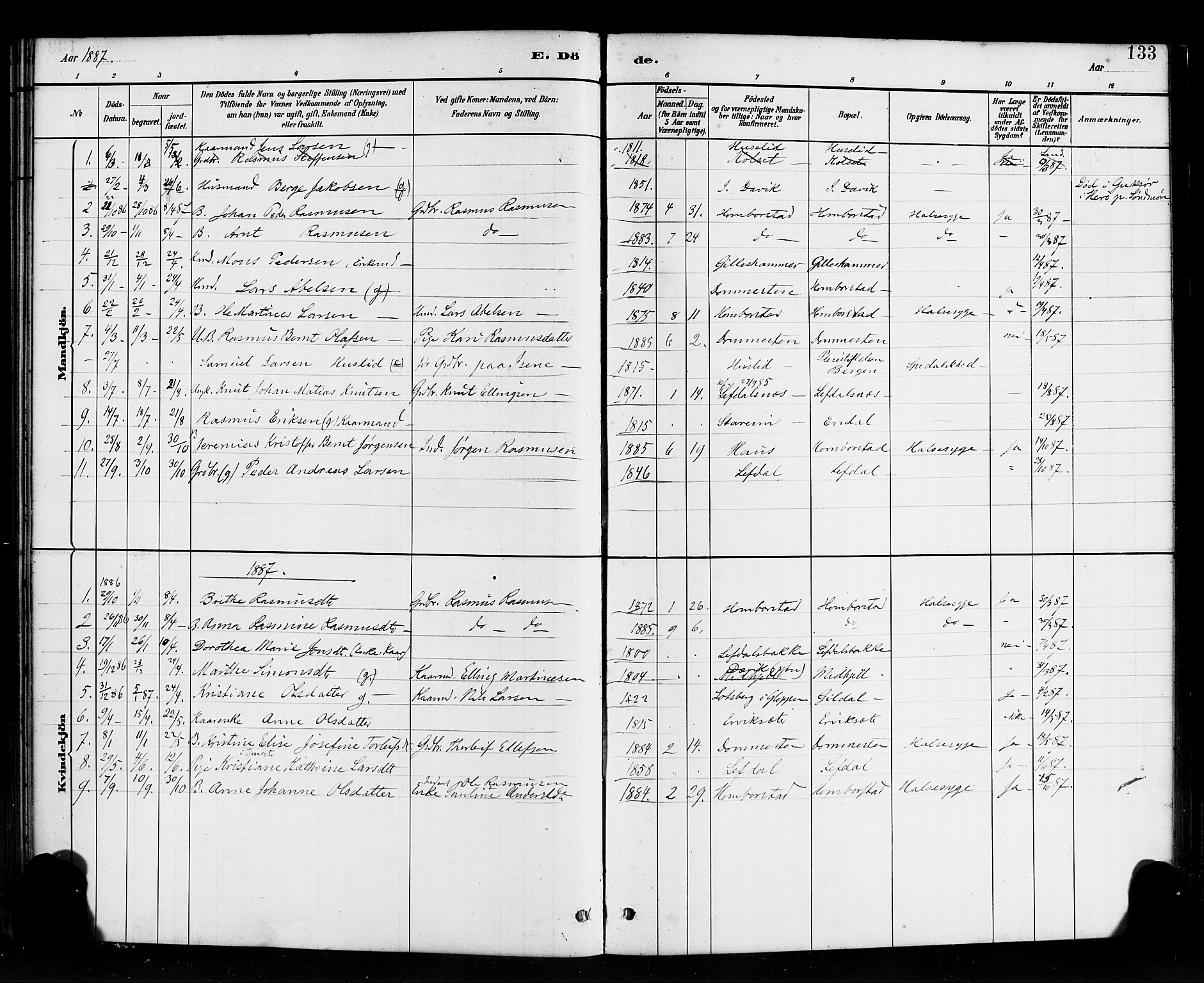 Davik sokneprestembete, AV/SAB-A-79701/H/Haa/Haab/L0001: Parish register (official) no. B 1, 1882-1900, p. 133