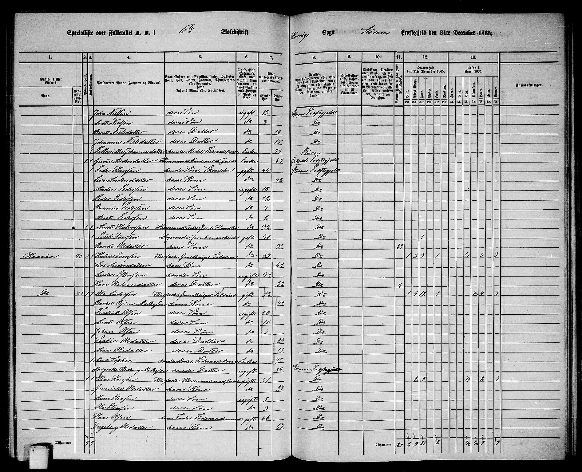 RA, 1865 census for Støren, 1865, p. 207