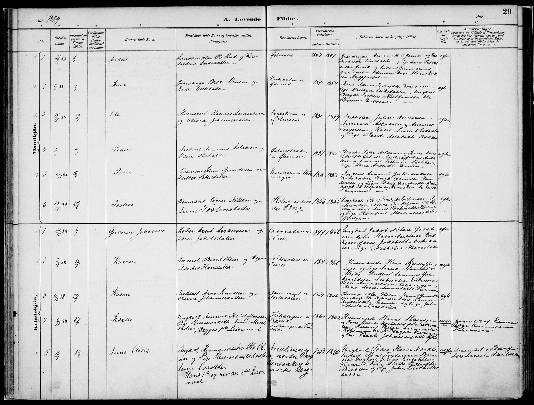 Nord-Odal prestekontor, SAH/PREST-032/H/Ha/Haa/L0008: Parish register (official) no. 8, 1886-1901, p. 29