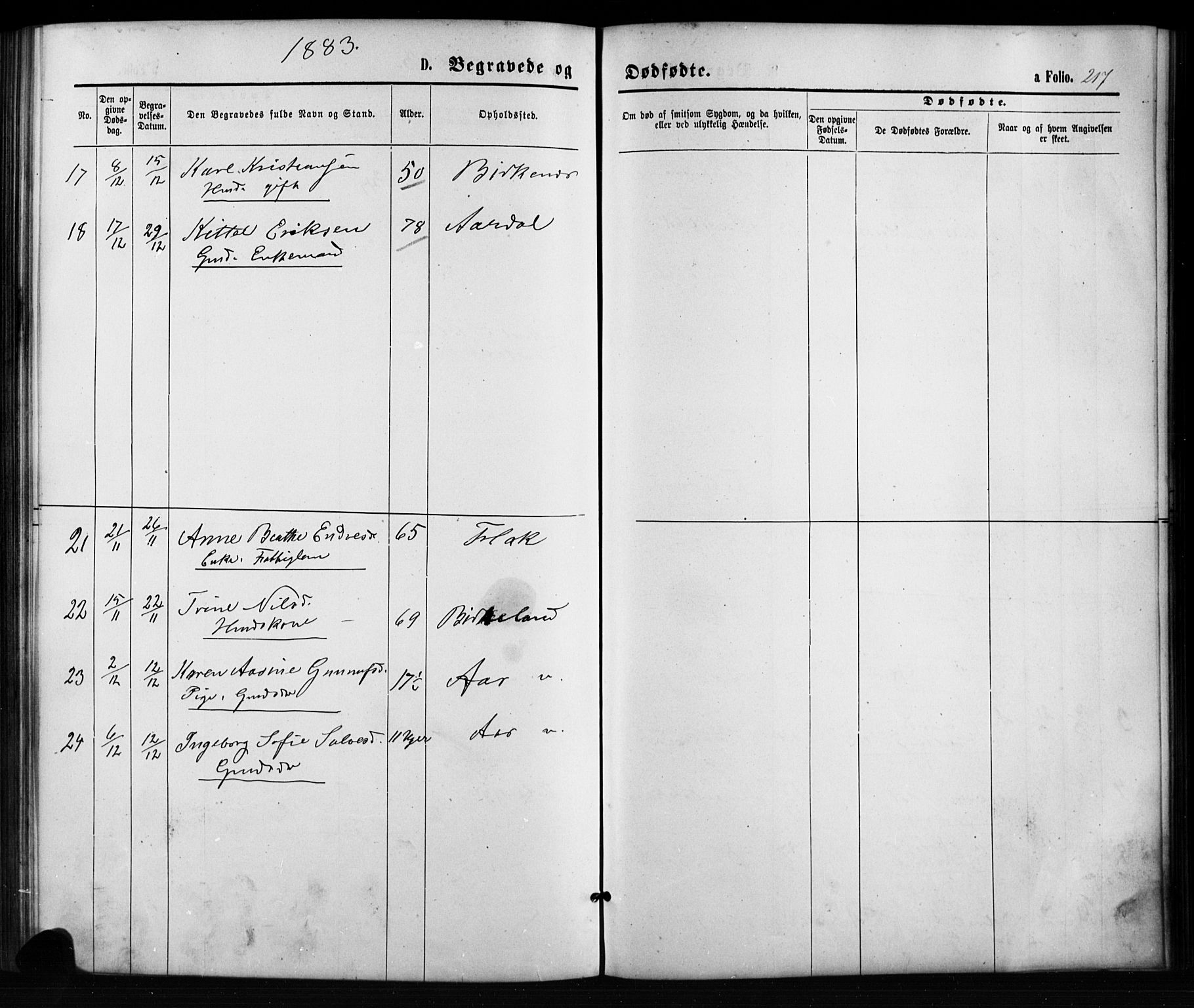 Birkenes sokneprestkontor, SAK/1111-0004/F/Fb/L0003: Parish register (copy) no. B 3, 1876-1892, p. 217