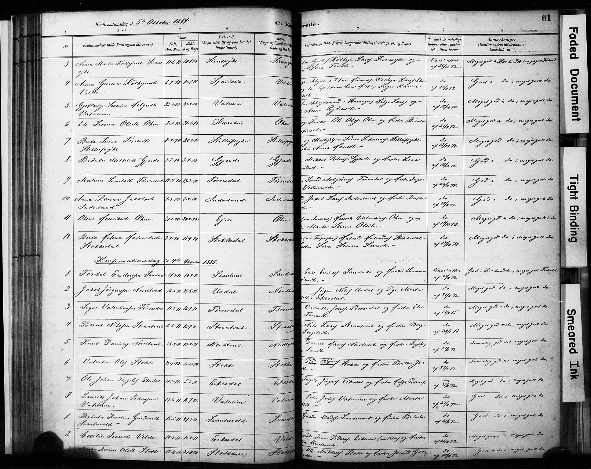 Skjold sokneprestkontor, SAST/A-101847/H/Ha/Haa/L0009: Parish register (official) no. A 9, 1882-1898, p. 61