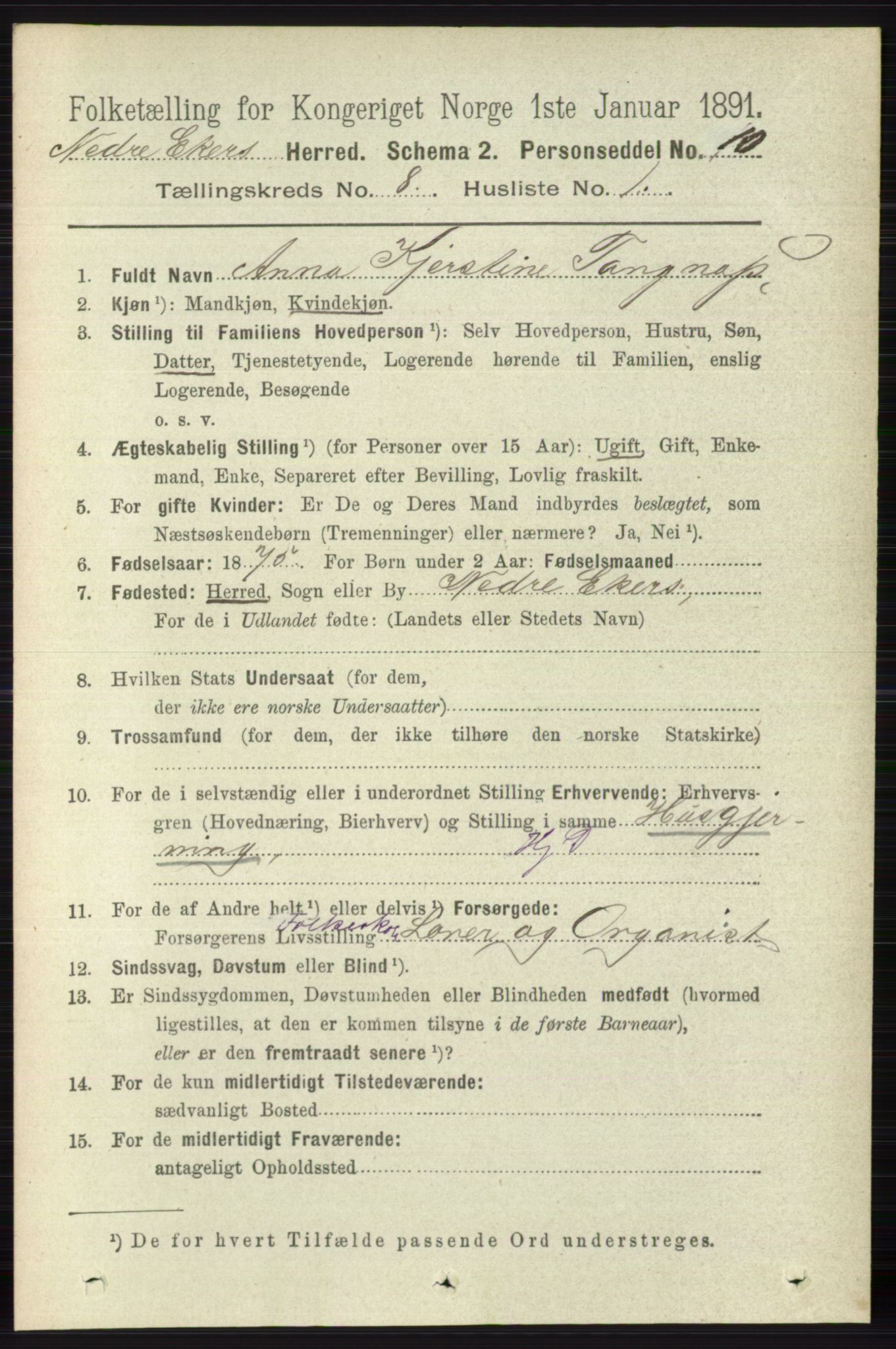 RA, 1891 census for 0625 Nedre Eiker, 1891, p. 3962