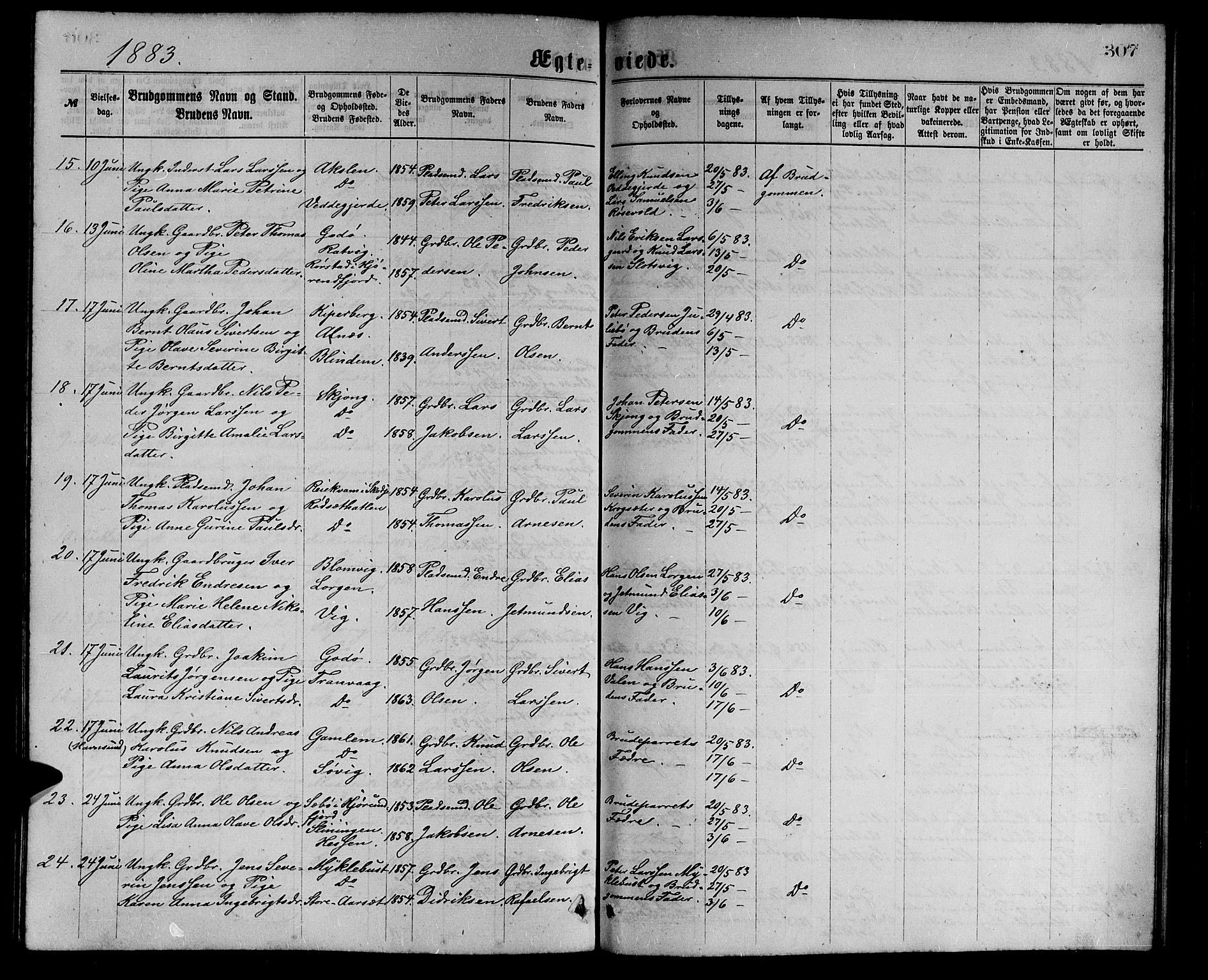 Ministerialprotokoller, klokkerbøker og fødselsregistre - Møre og Romsdal, AV/SAT-A-1454/528/L0429: Parish register (copy) no. 528C10, 1872-1886, p. 307