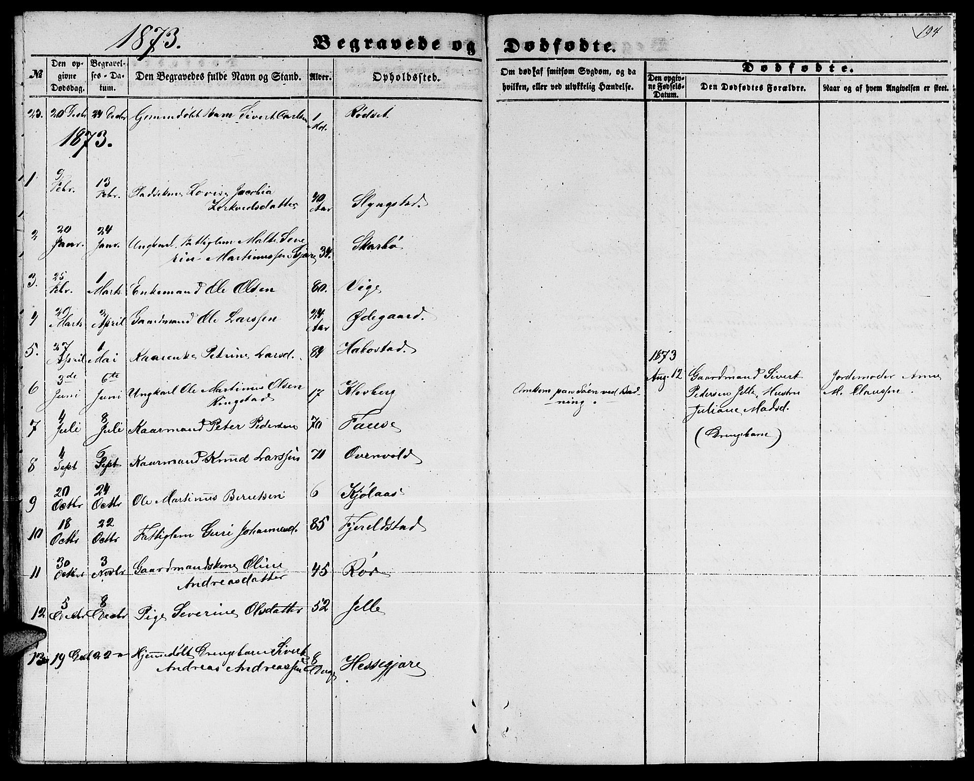 Ministerialprotokoller, klokkerbøker og fødselsregistre - Møre og Romsdal, AV/SAT-A-1454/520/L0291: Parish register (copy) no. 520C03, 1854-1881, p. 194