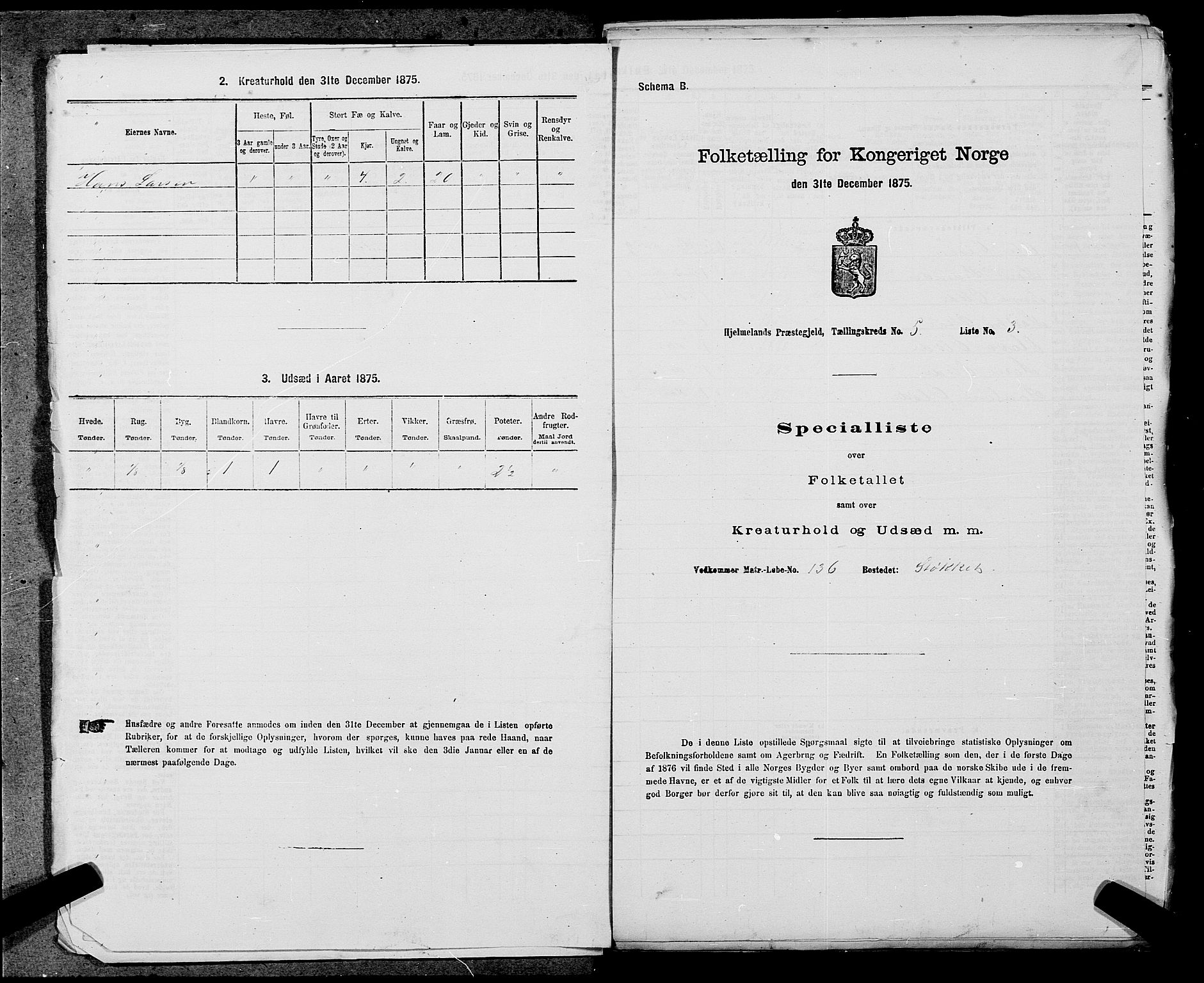 SAST, 1875 census for 1133P Hjelmeland, 1875, p. 581