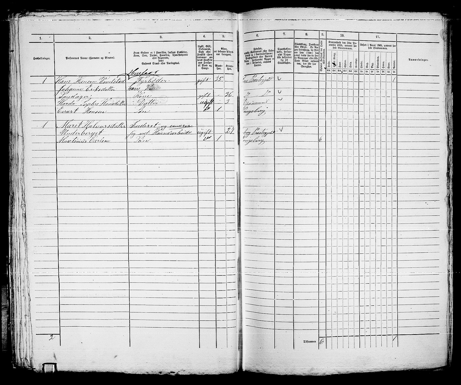 RA, 1865 census for Kongsberg/Kongsberg, 1865, p. 1060