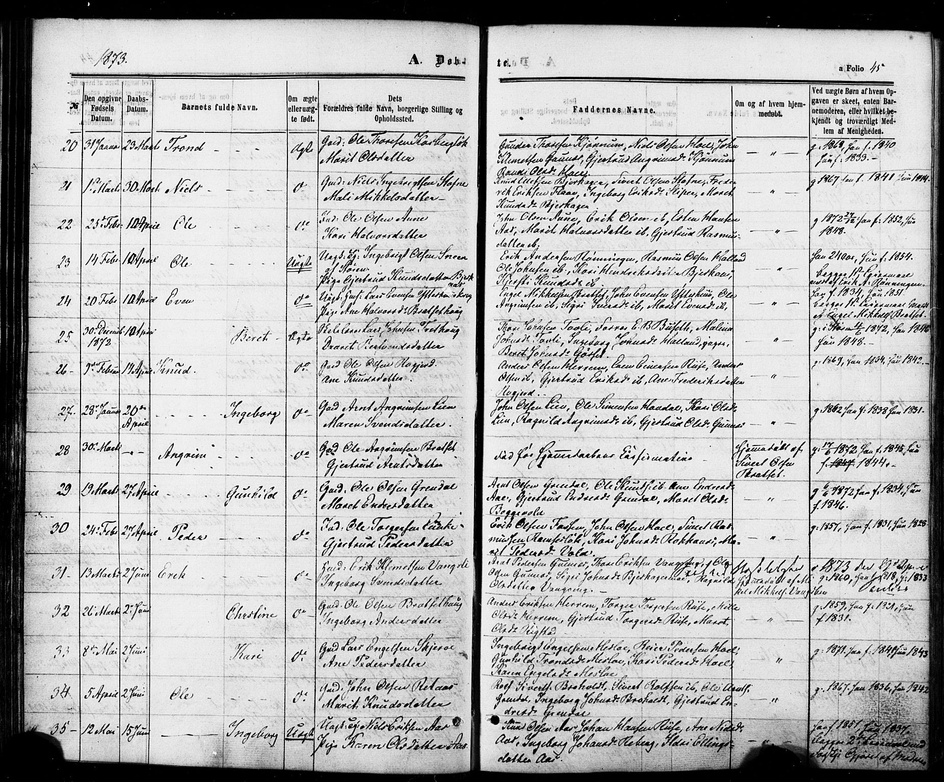 Ministerialprotokoller, klokkerbøker og fødselsregistre - Sør-Trøndelag, AV/SAT-A-1456/674/L0870: Parish register (official) no. 674A02, 1861-1879, p. 45