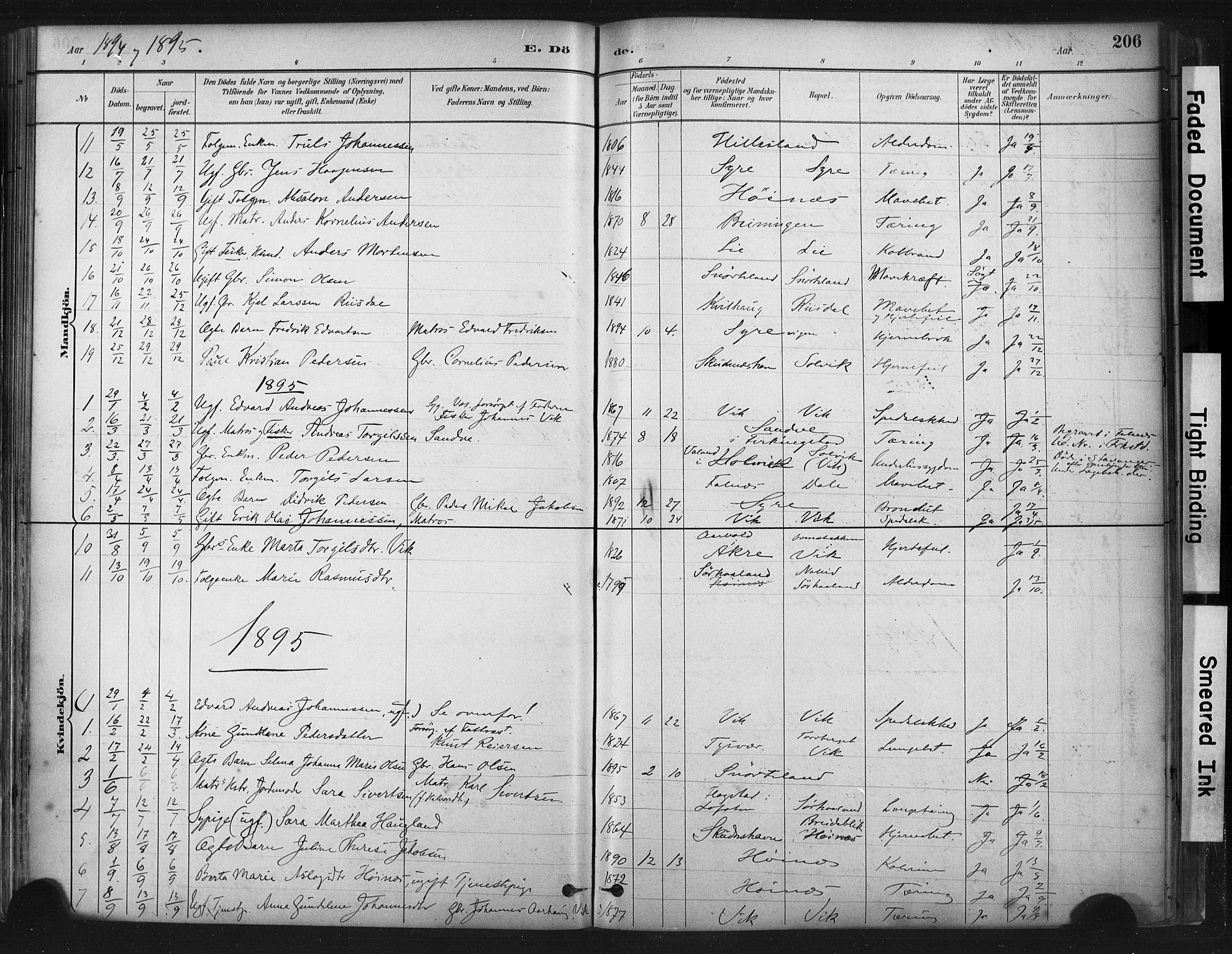 Skudenes sokneprestkontor, SAST/A -101849/H/Ha/Haa/L0009: Parish register (official) no. A 6, 1882-1912, p. 206