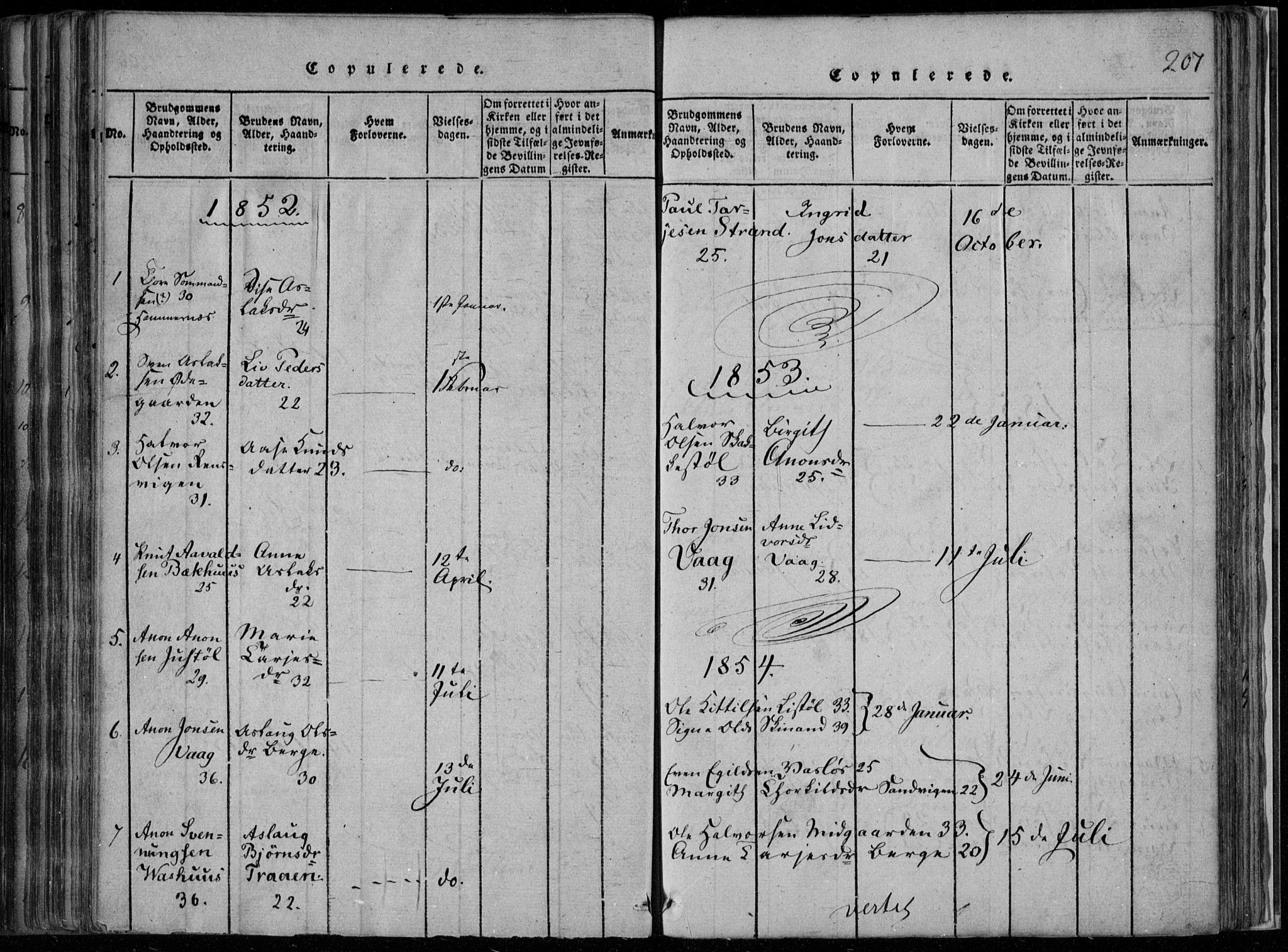 Rauland kirkebøker, SAKO/A-292/F/Fa/L0001: Parish register (official) no. 1, 1814-1859, p. 207