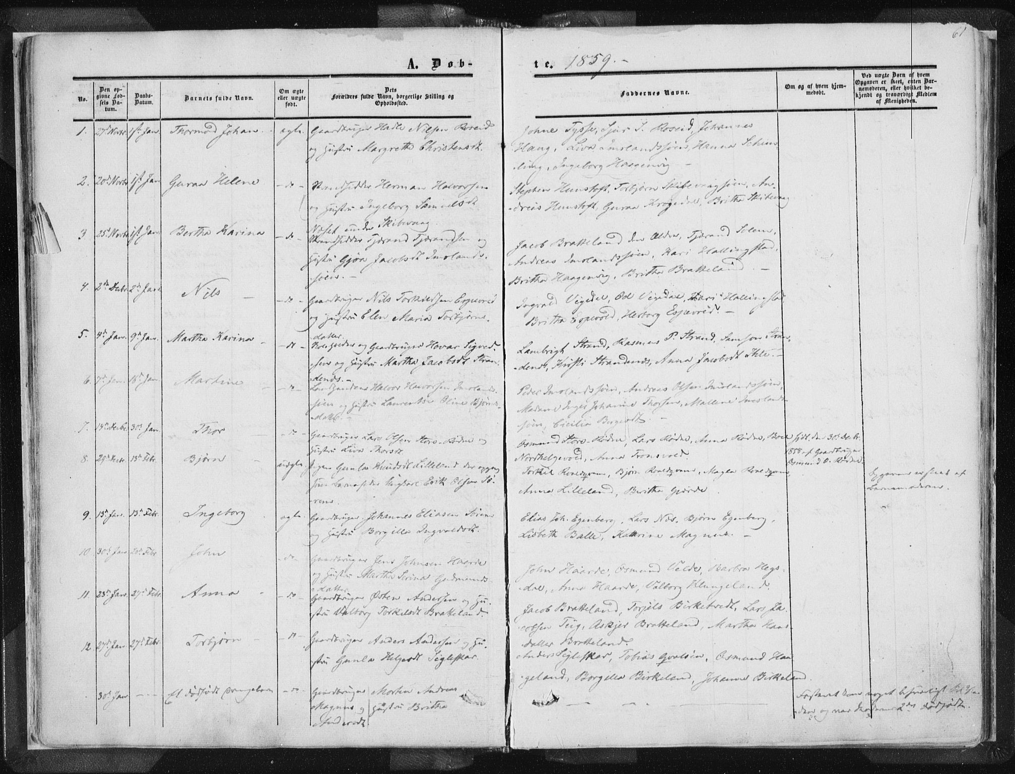 Vikedal sokneprestkontor, AV/SAST-A-101840/01/IV: Parish register (official) no. A 6.1, 1851-1867, p. 61