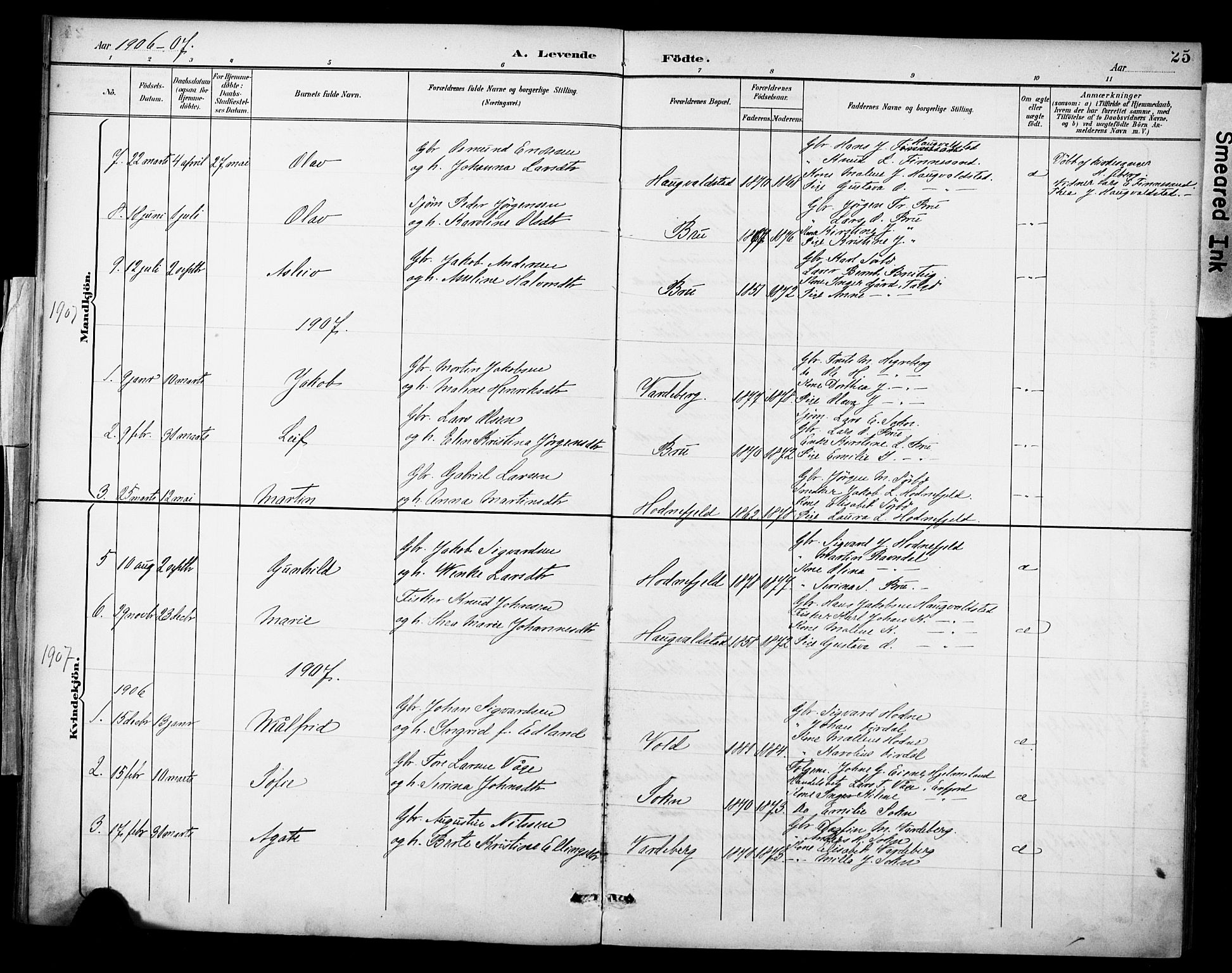 Rennesøy sokneprestkontor, AV/SAST-A -101827/H/Ha/Haa/L0015: Parish register (official) no. A 15, 1891-1908, p. 25