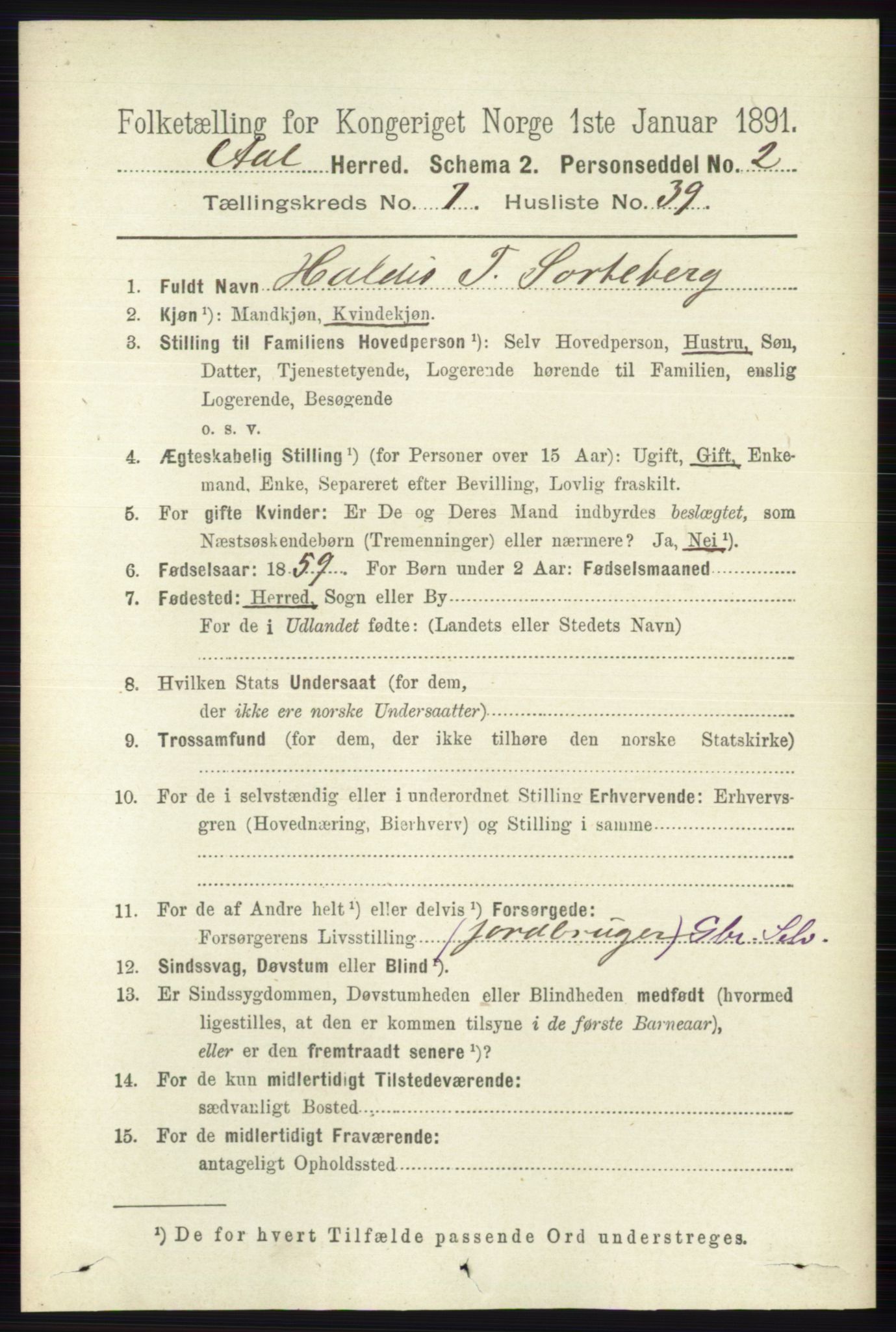RA, 1891 census for 0619 Ål, 1891, p. 1997
