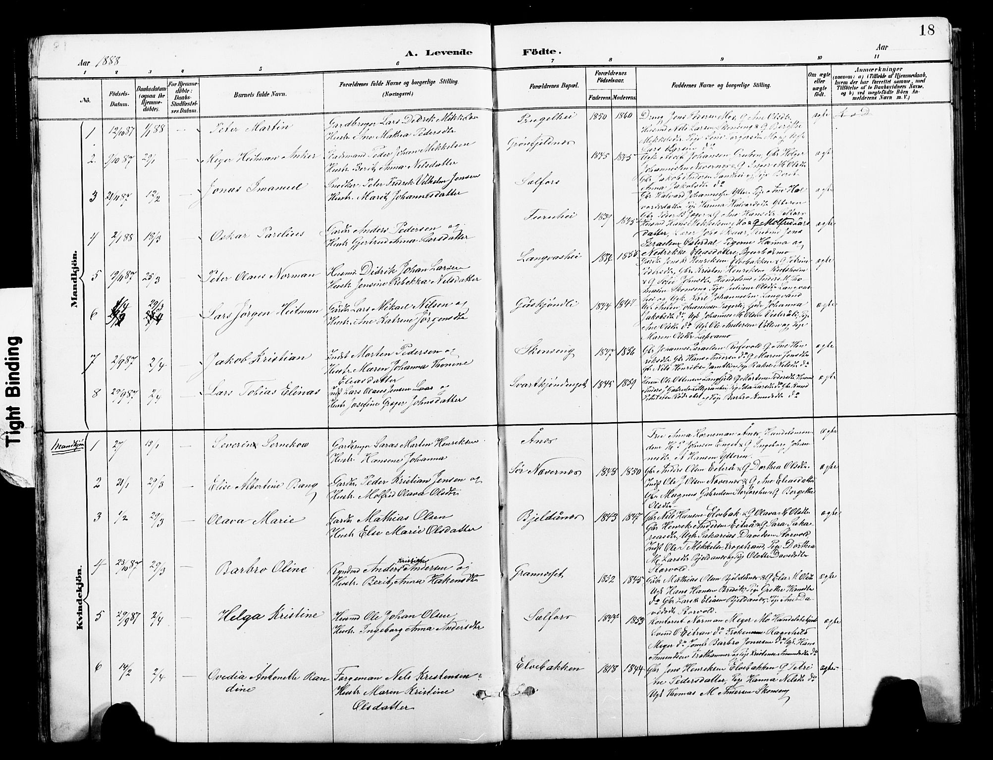 Ministerialprotokoller, klokkerbøker og fødselsregistre - Nordland, SAT/A-1459/827/L0421: Parish register (copy) no. 827C10, 1887-1906, p. 18