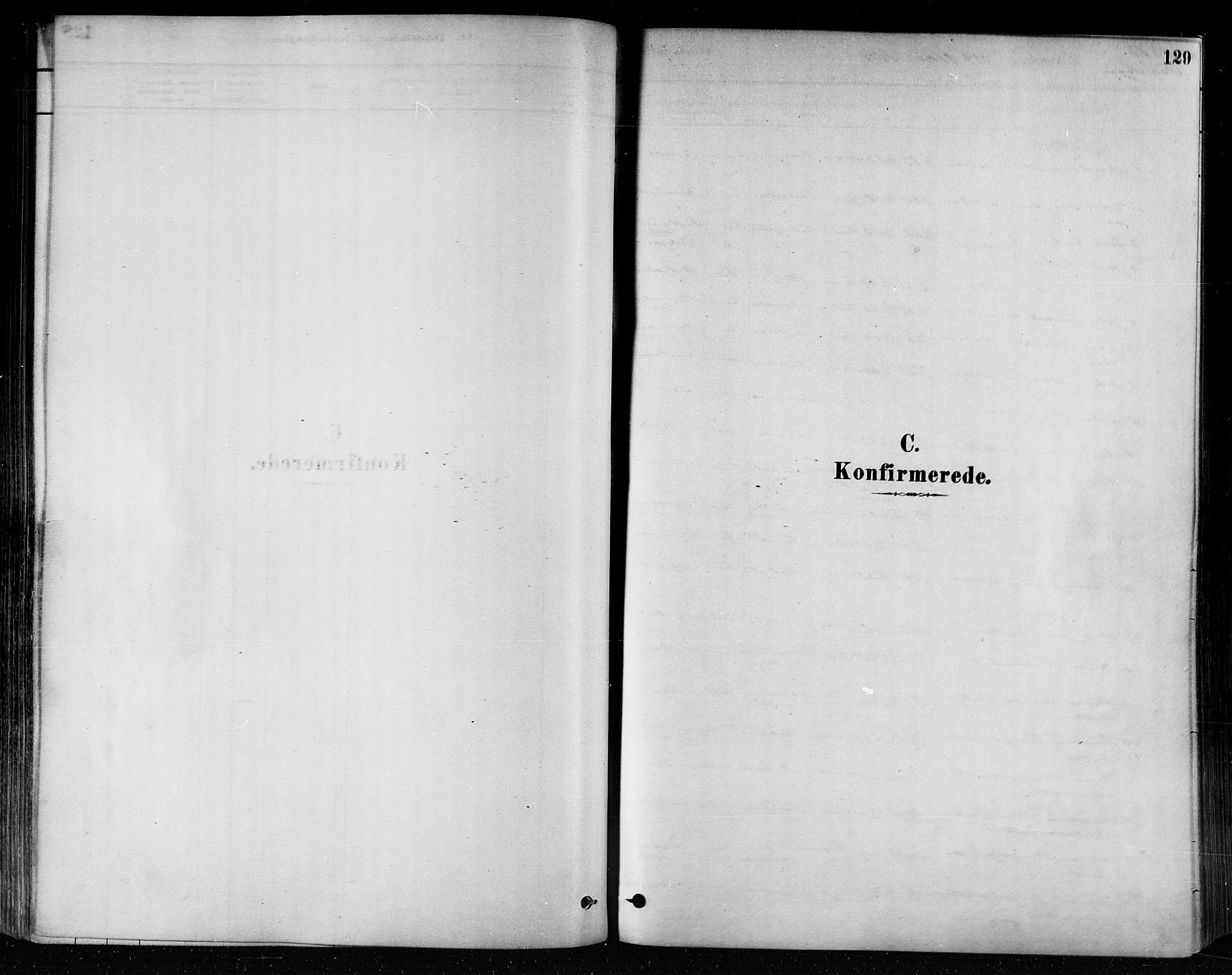 Ministerialprotokoller, klokkerbøker og fødselsregistre - Nord-Trøndelag, SAT/A-1458/746/L0449: Parish register (official) no. 746A07 /2, 1878-1899, p. 129