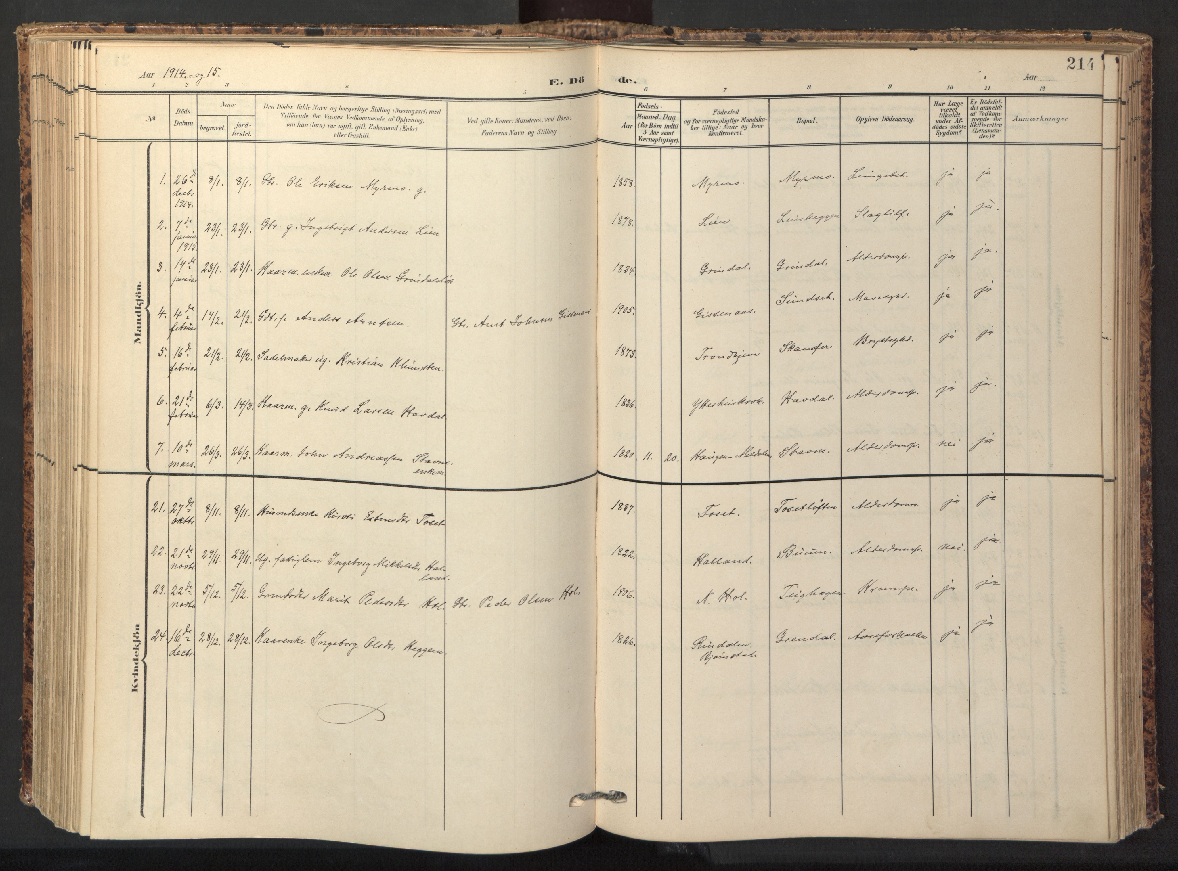 Ministerialprotokoller, klokkerbøker og fødselsregistre - Sør-Trøndelag, SAT/A-1456/674/L0873: Parish register (official) no. 674A05, 1908-1923, p. 214