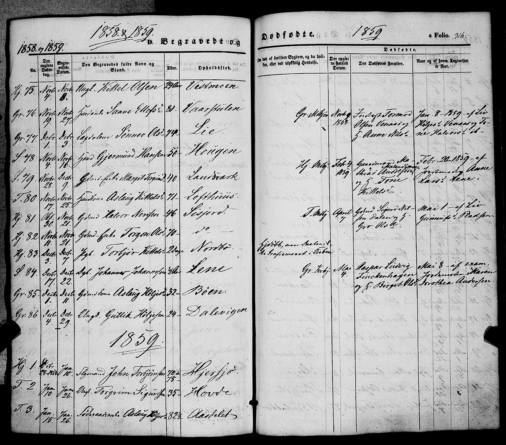 Hjartdal kirkebøker, AV/SAKO-A-270/F/Fa/L0008: Parish register (official) no. I 8, 1844-1859, p. 316