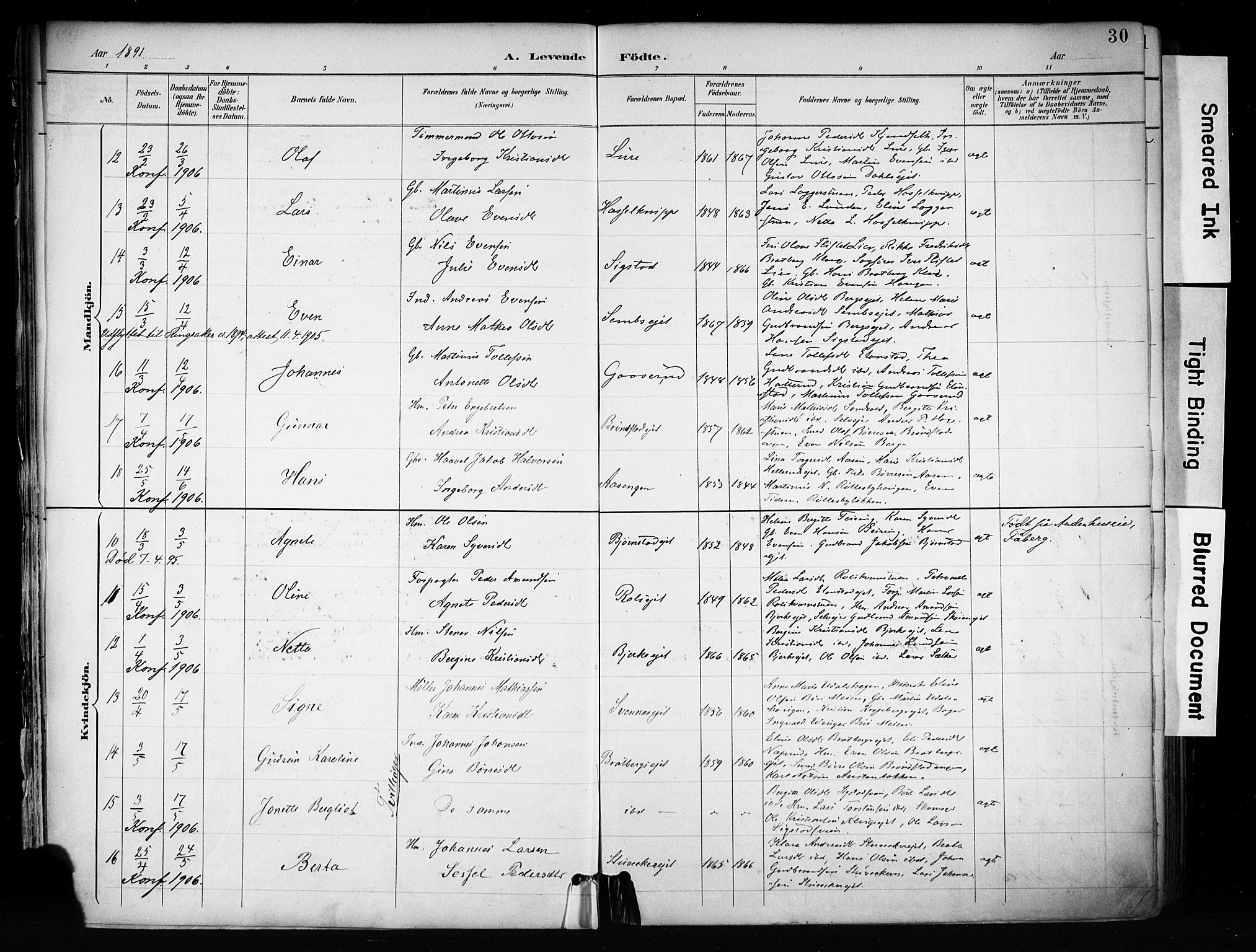 Biri prestekontor, SAH/PREST-096/H/Ha/Haa/L0009: Parish register (official) no. 9, 1887-1900, p. 30