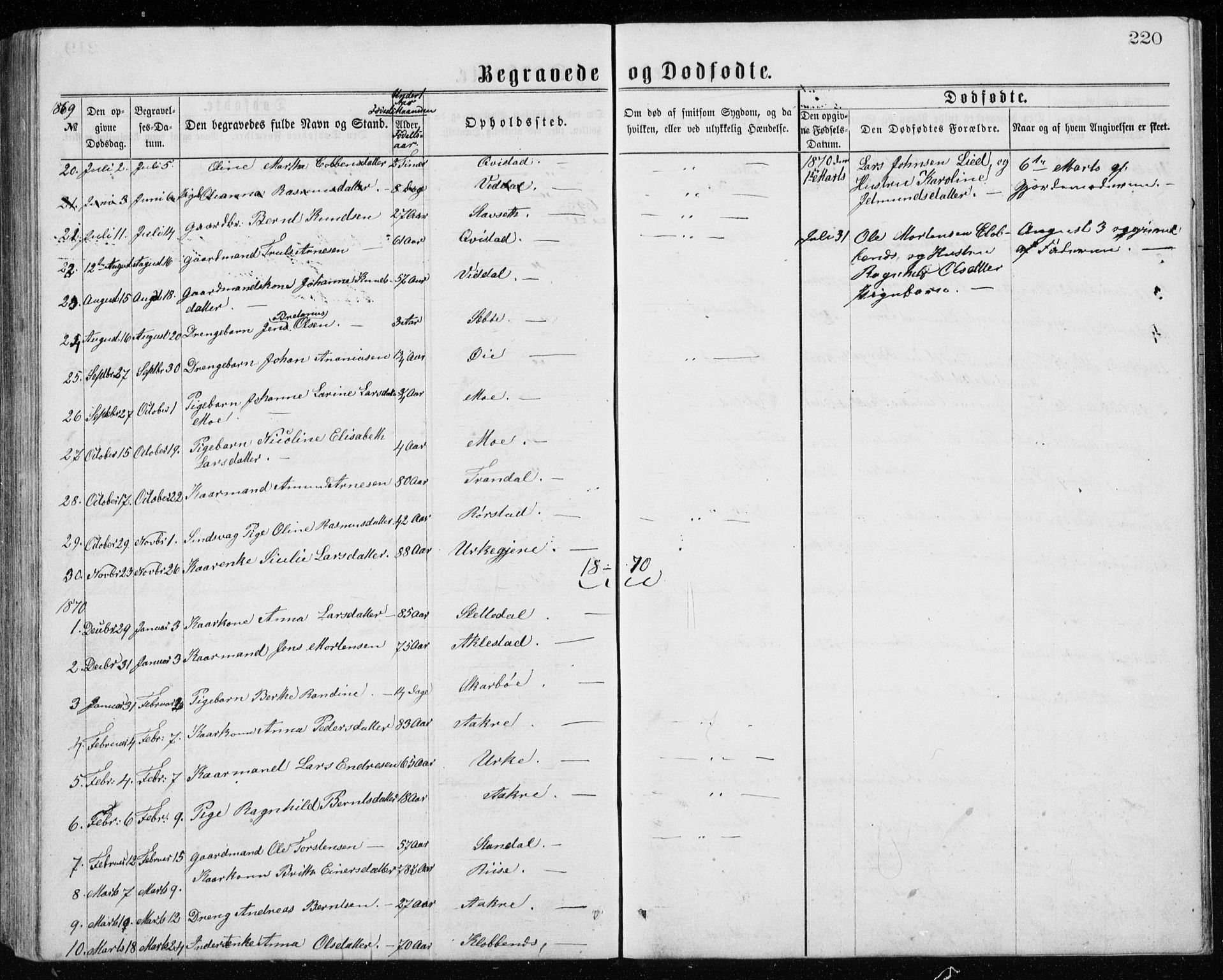 Ministerialprotokoller, klokkerbøker og fødselsregistre - Møre og Romsdal, AV/SAT-A-1454/515/L0214: Parish register (copy) no. 515C01, 1865-1883, p. 220