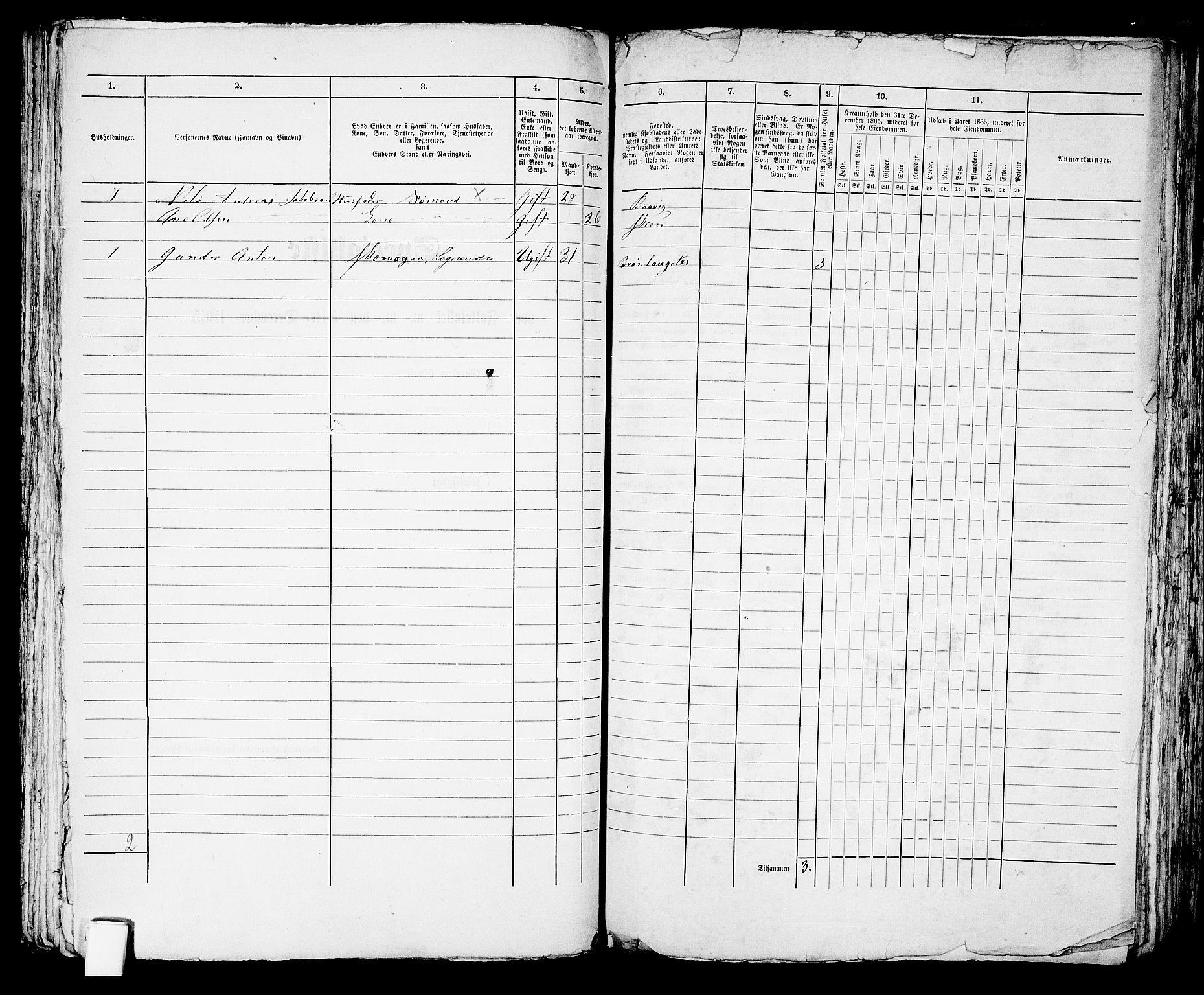 RA, 1865 census for Brevik, 1865, p. 561