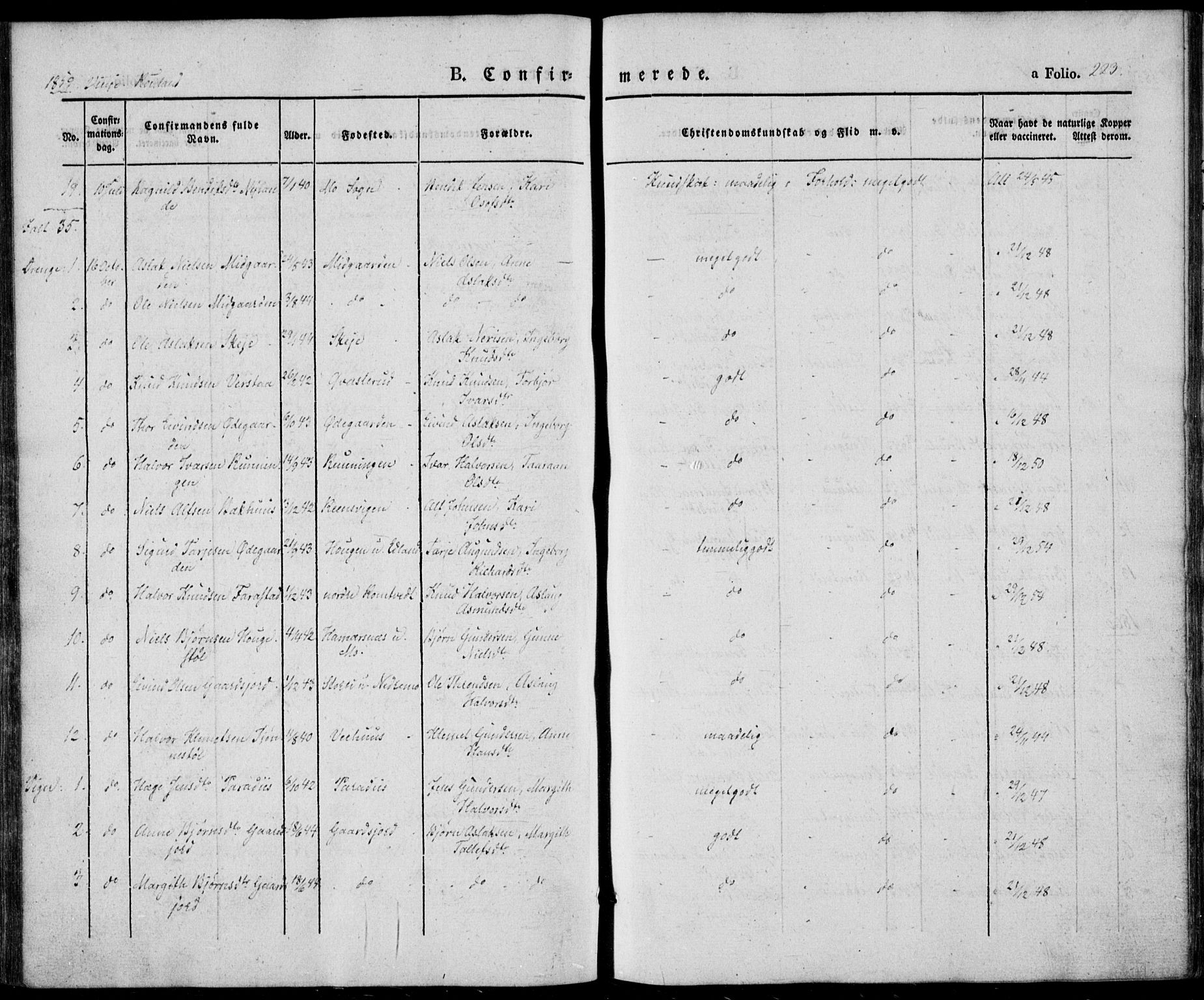 Vinje kirkebøker, SAKO/A-312/F/Fa/L0004: Parish register (official) no. I 4, 1843-1869, p. 223