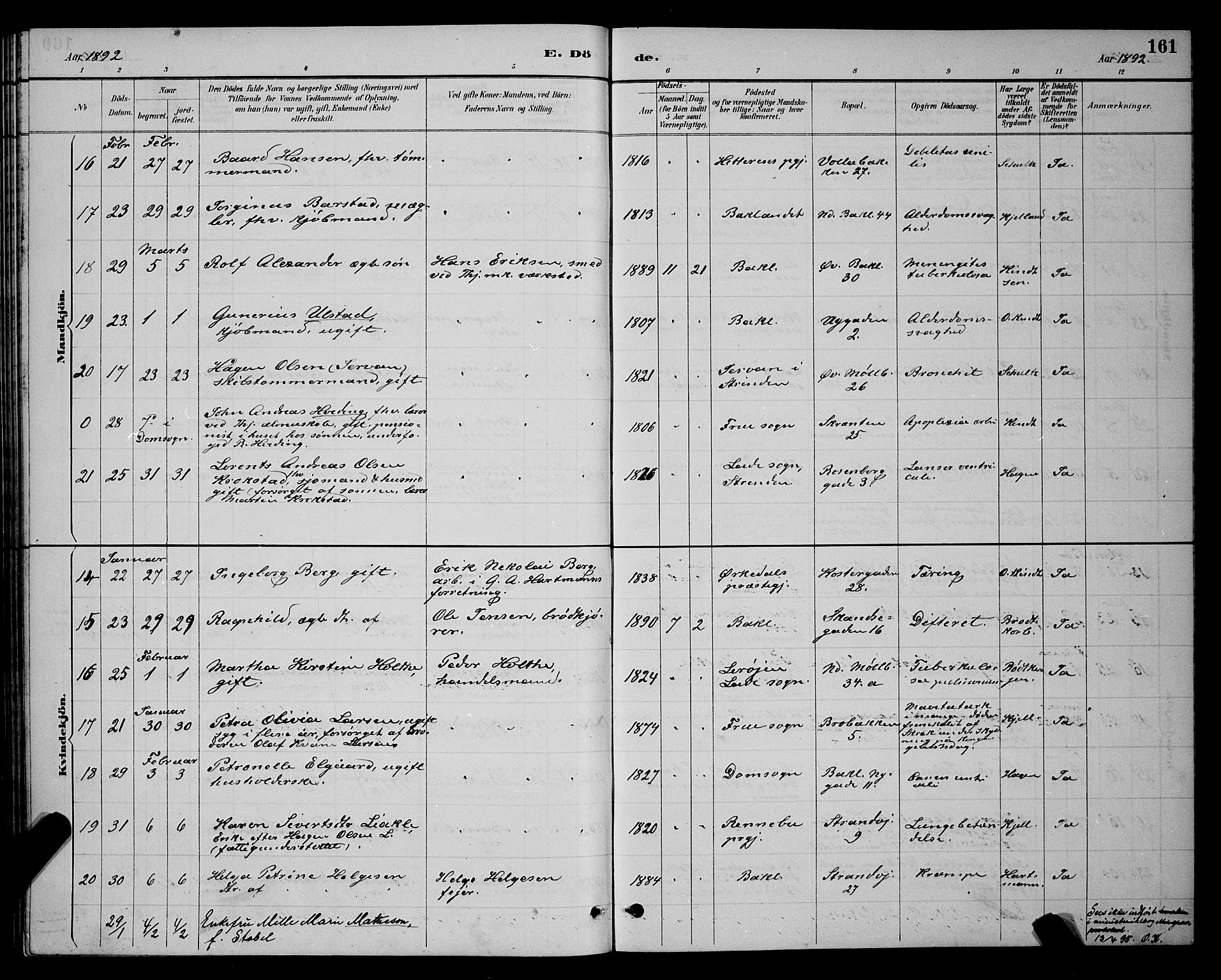Ministerialprotokoller, klokkerbøker og fødselsregistre - Sør-Trøndelag, SAT/A-1456/604/L0223: Parish register (copy) no. 604C06, 1886-1897, p. 161