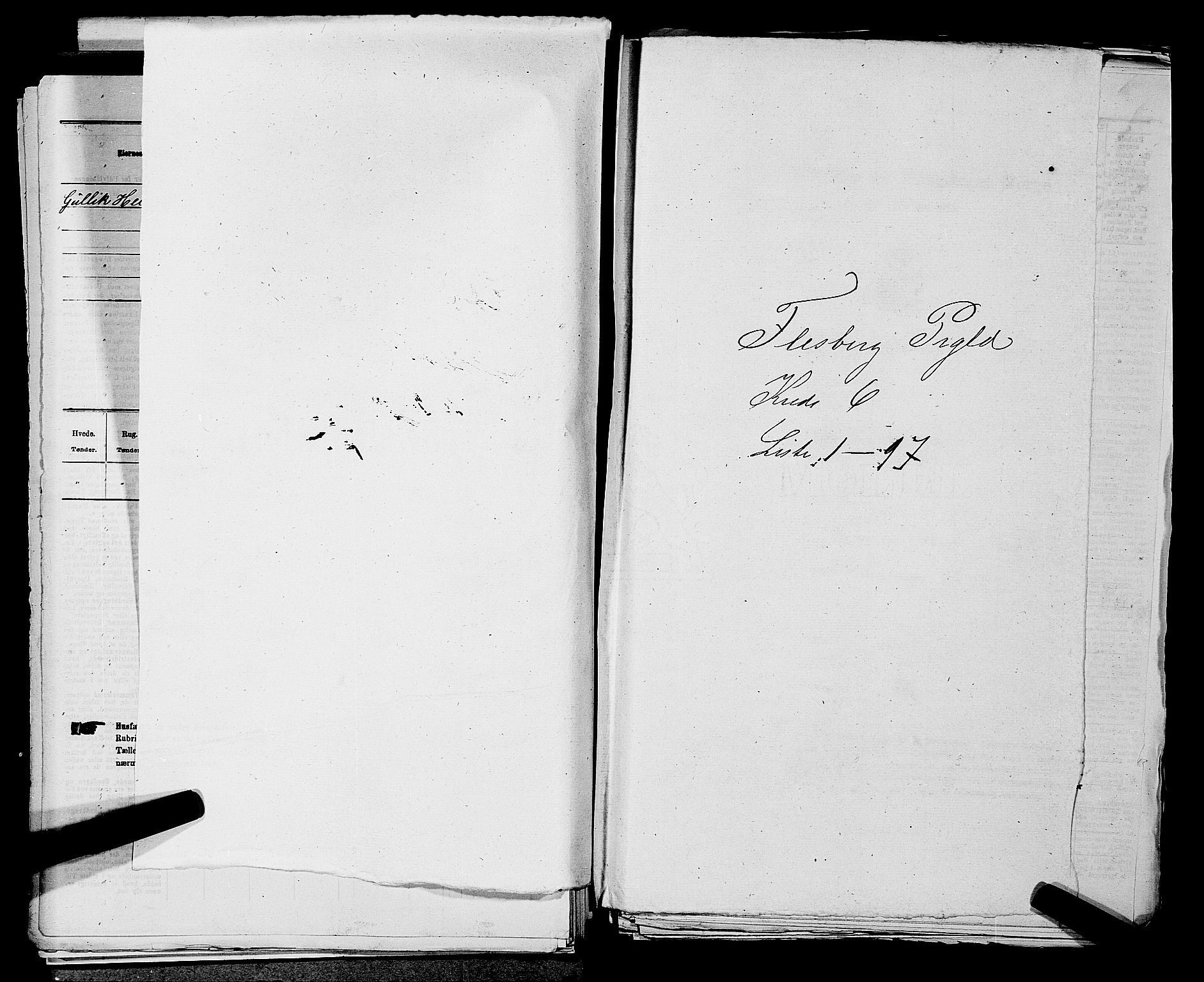 SAKO, 1875 census for 0631P Flesberg, 1875, p. 1082