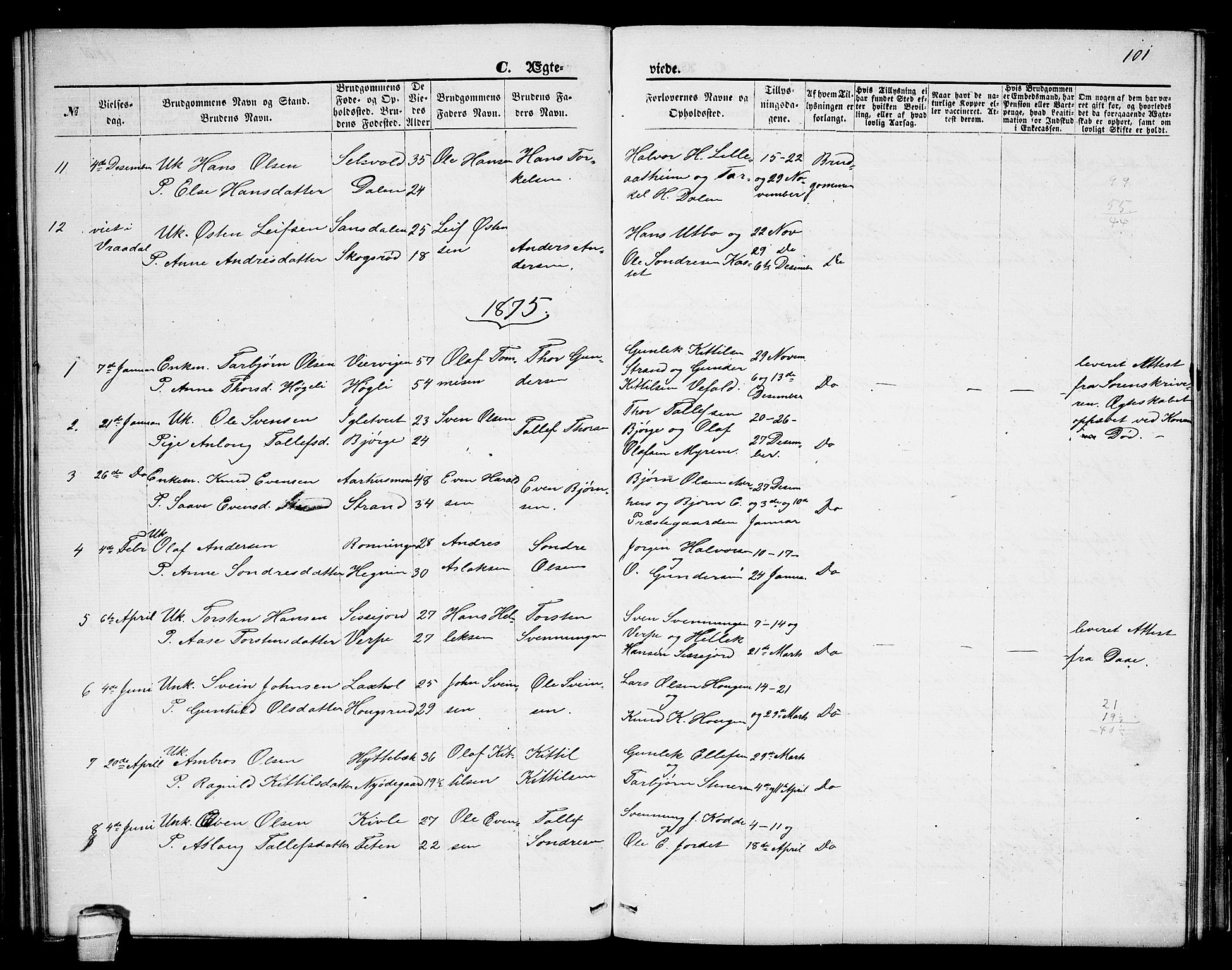 Seljord kirkebøker, SAKO/A-20/G/Ga/L0004: Parish register (copy) no. I 4, 1873-1886, p. 101