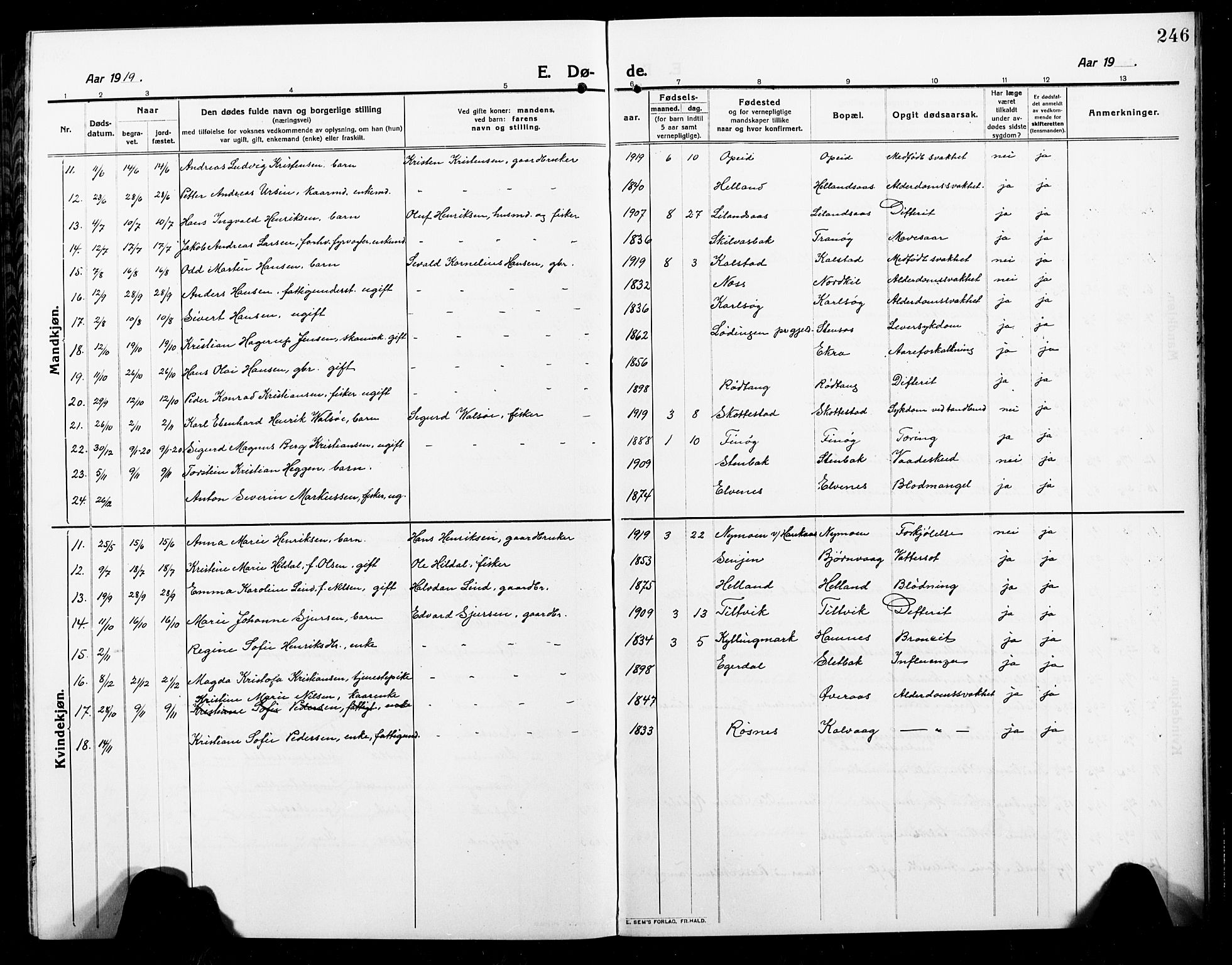 Ministerialprotokoller, klokkerbøker og fødselsregistre - Nordland, AV/SAT-A-1459/859/L0861: Parish register (copy) no. 859C07, 1910-1925, p. 246