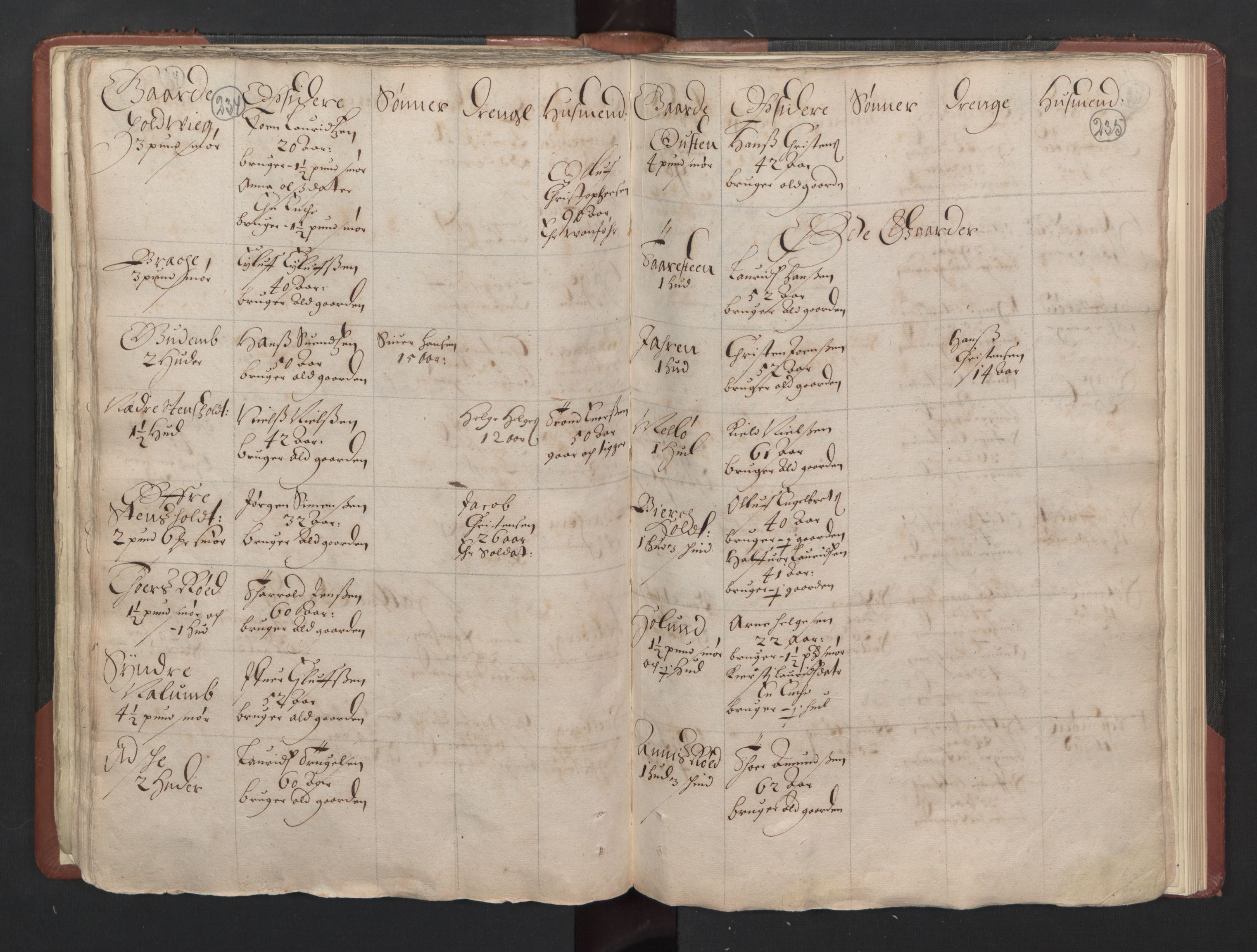 RA, Bailiff's Census 1664-1666, no. 5: Modern Buskerud county and modern Vestfold county, 1664, p. 234-235