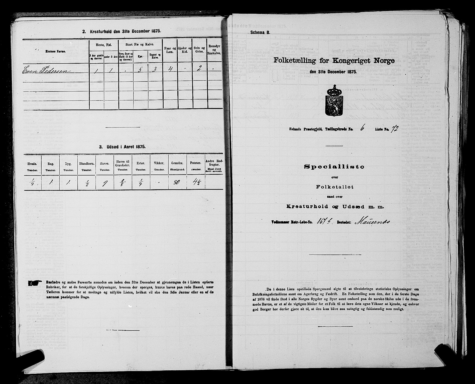 RA, 1875 census for 0221P Høland, 1875, p. 1231