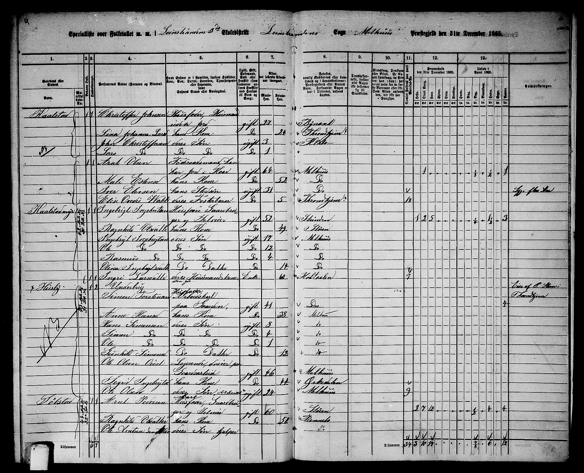 RA, 1865 census for Melhus, 1865, p. 249