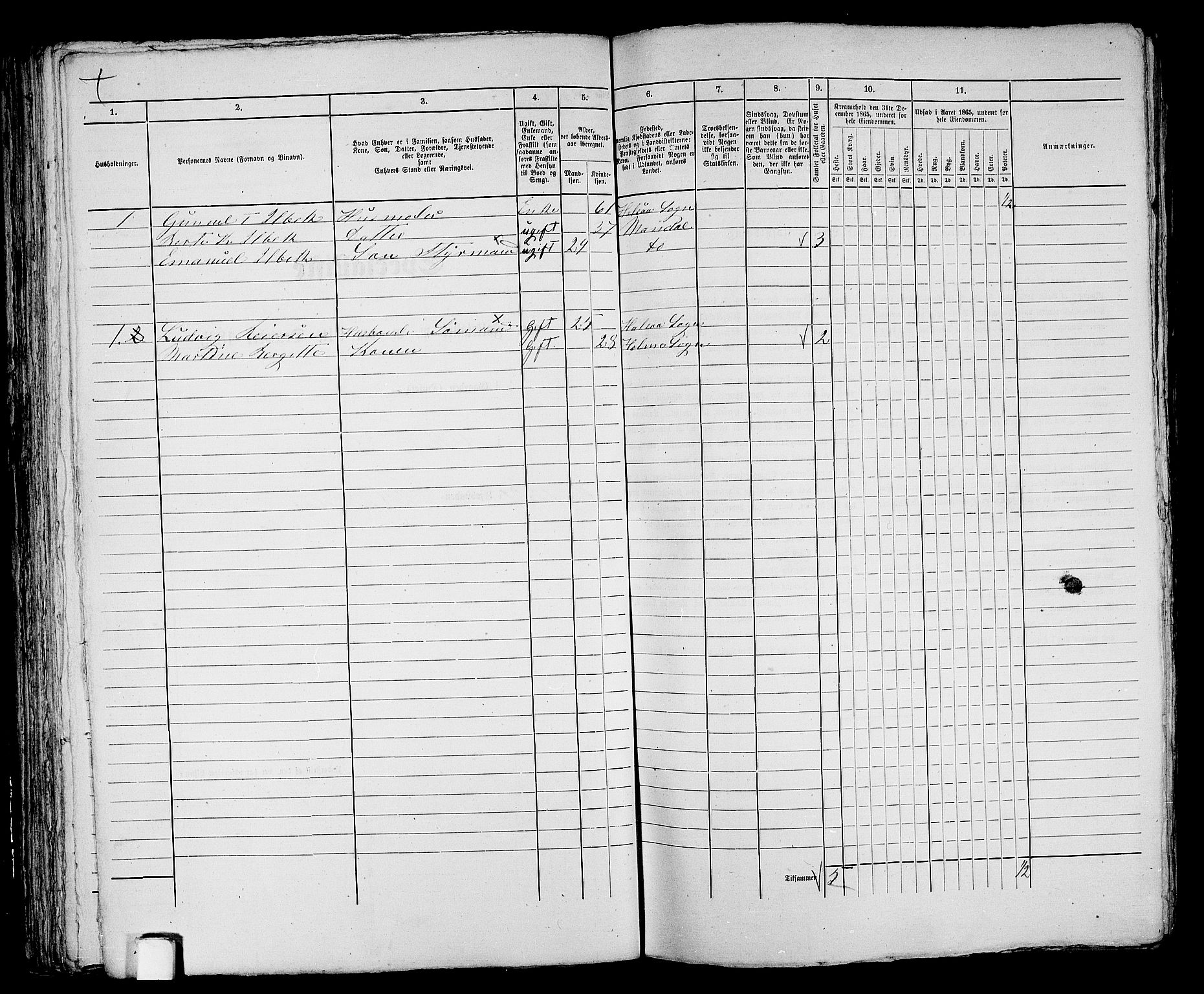 RA, 1865 census for Mandal/Mandal, 1865, p. 81