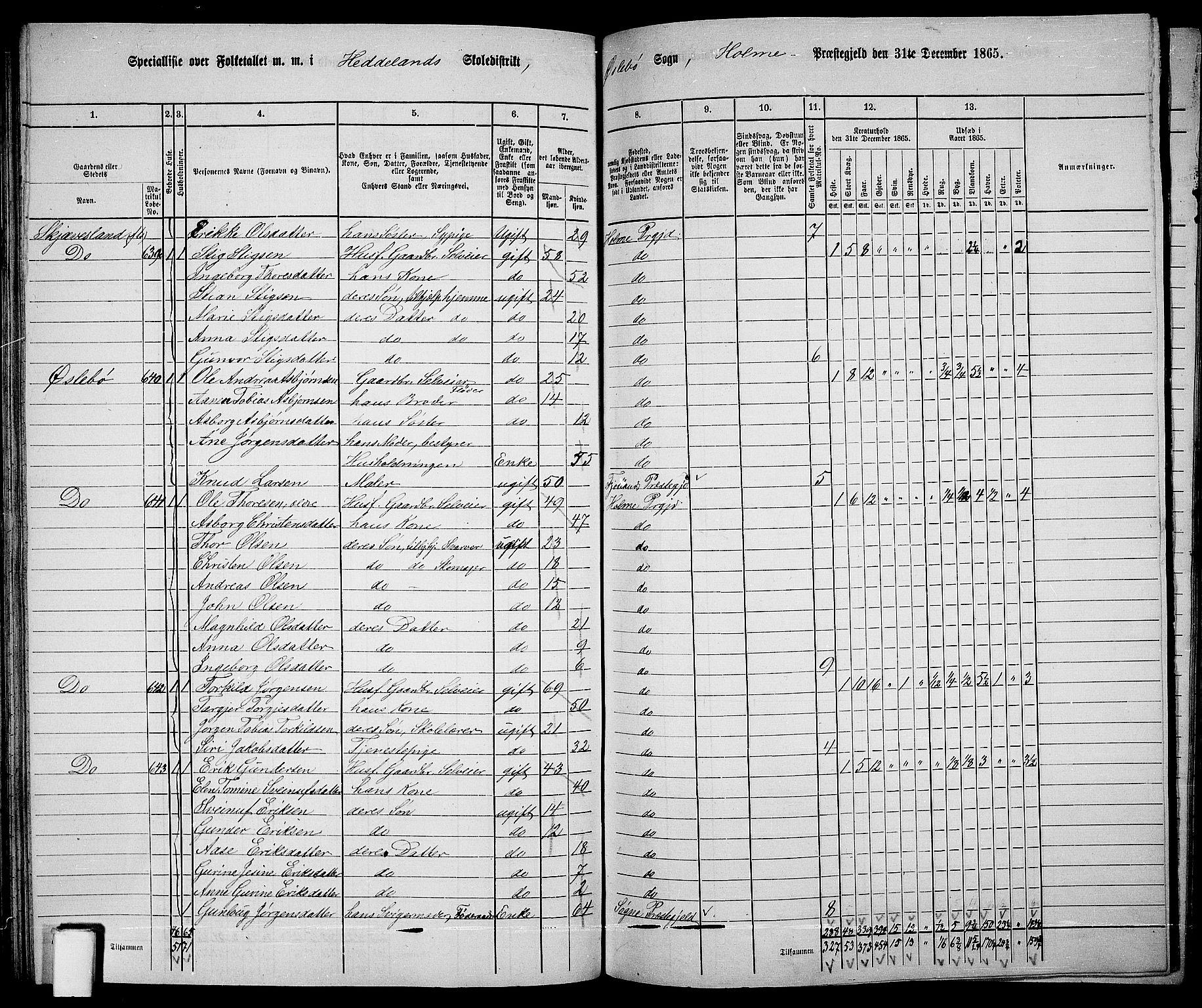 RA, 1865 census for Holum, 1865, p. 98